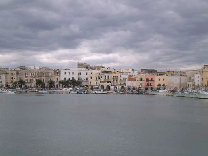 IMG_20211013_074700.jpg