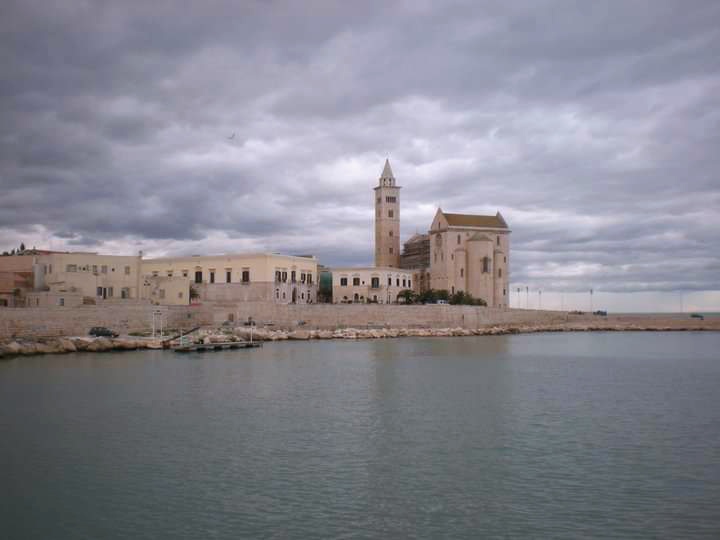 IMG_20211013_074632.jpg