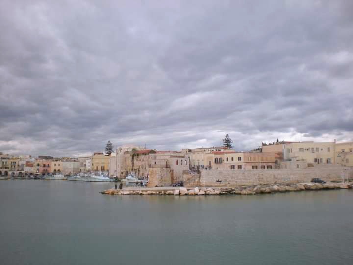 IMG_20211013_074732.jpg