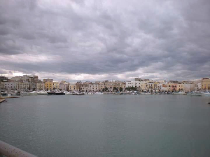 IMG_20211013_074823.jpg