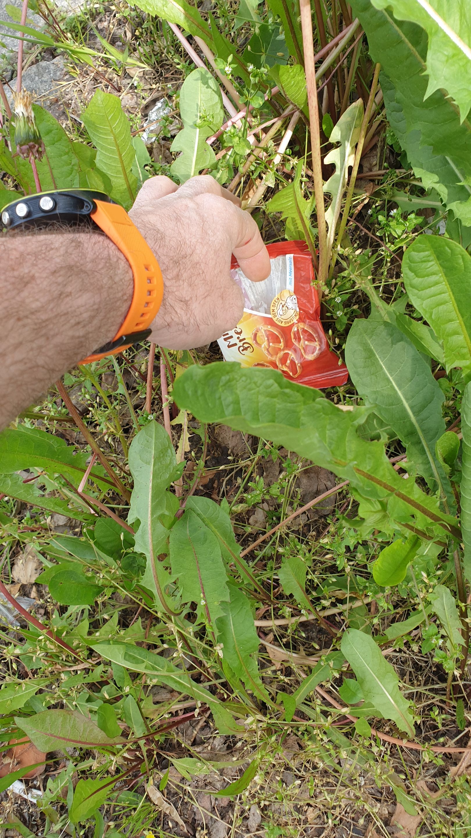 20230521_152201.jpg