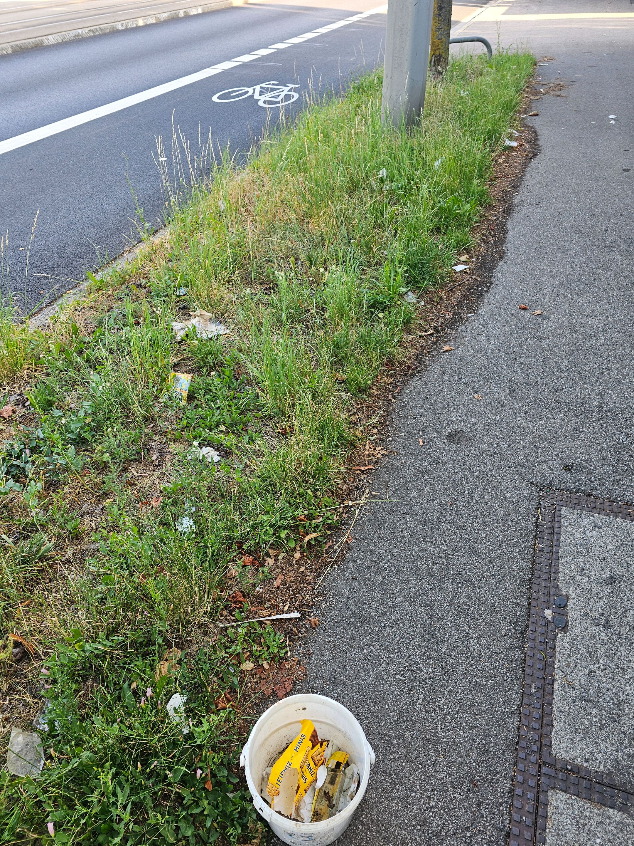 20230703_191458.jpg