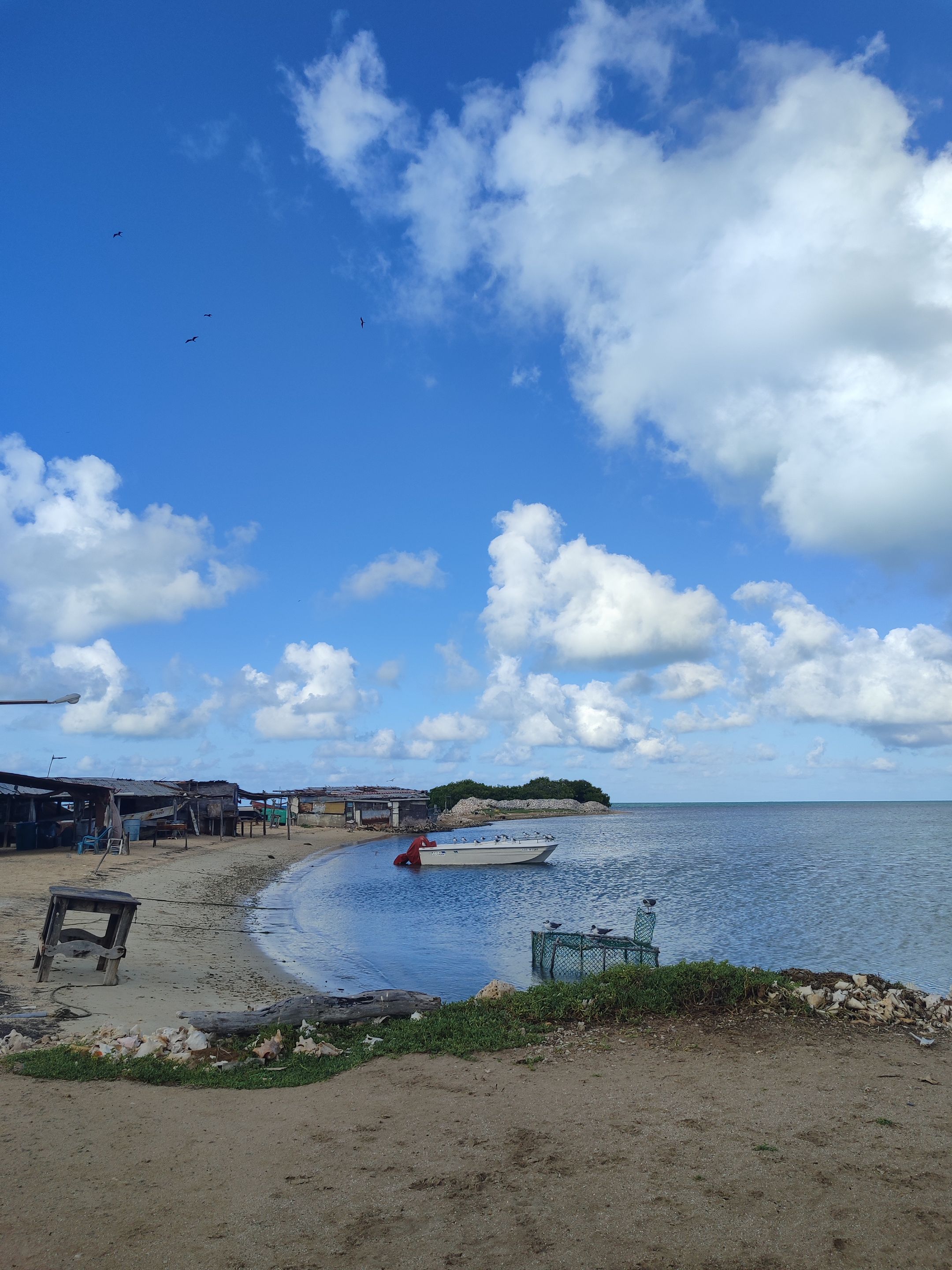 IMG_20240829_081738.jpg