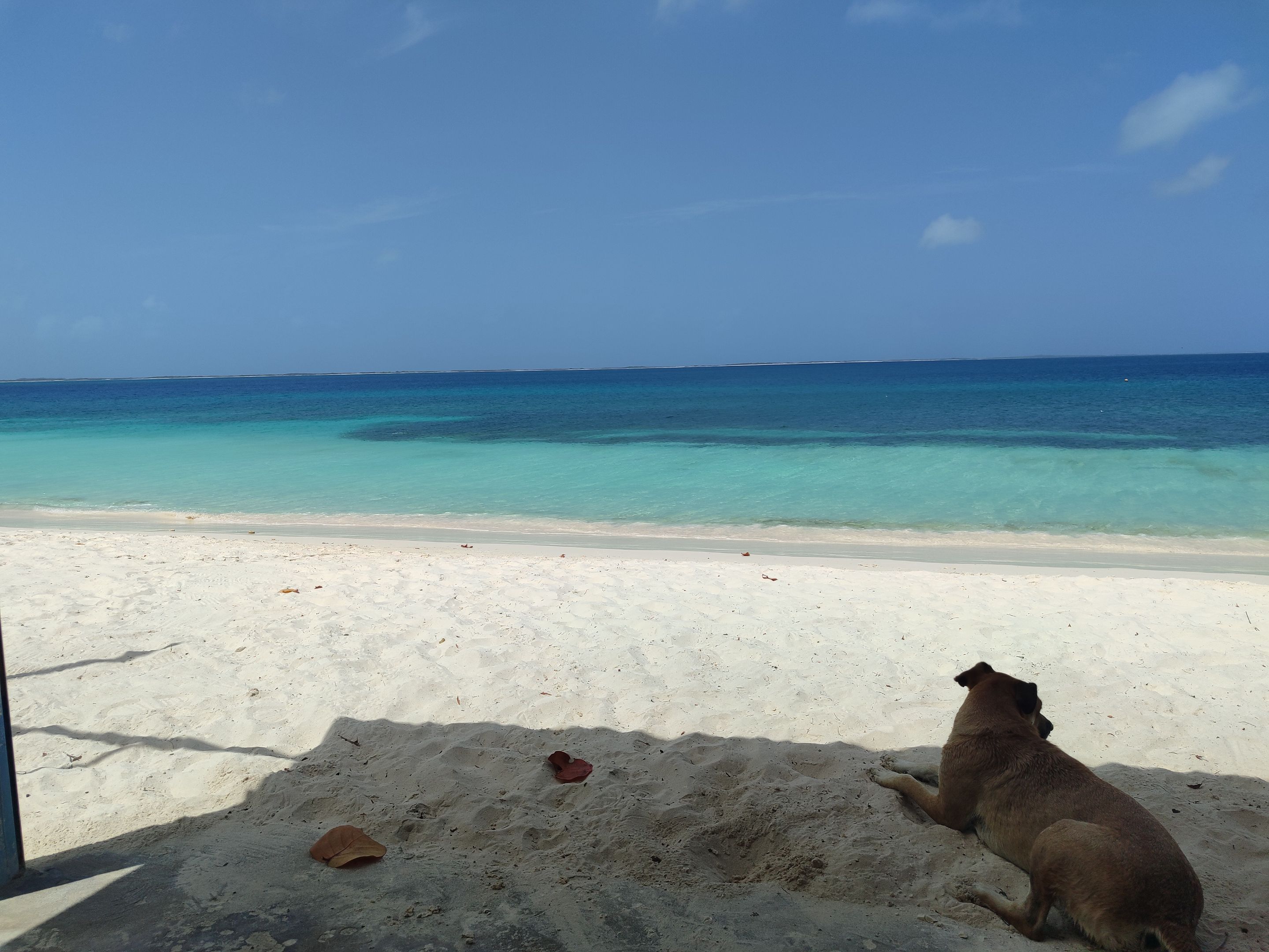Una pequeña parte de Cayo Crasqui