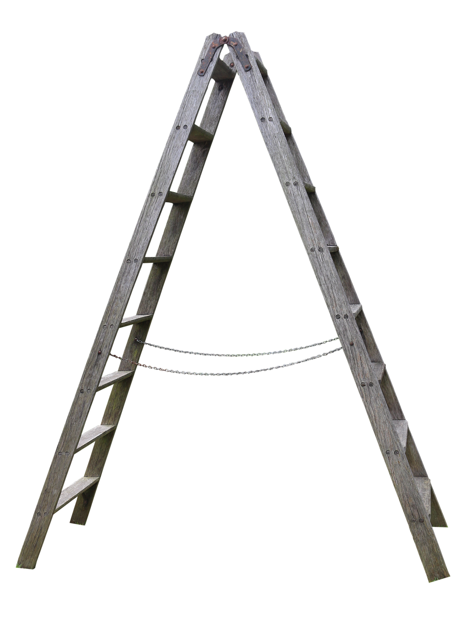 wood-3076978_1280.png