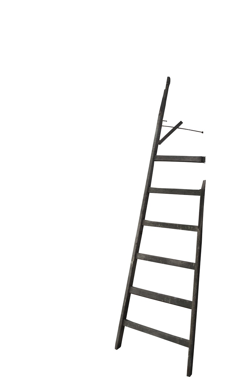 ladder-851086_1280.jpg
