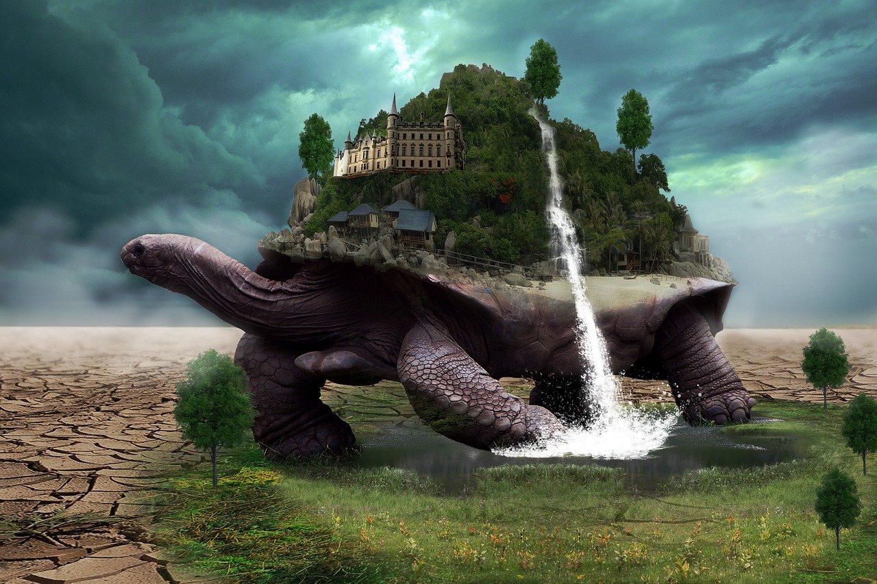 turtle-5825331_1280.jpg