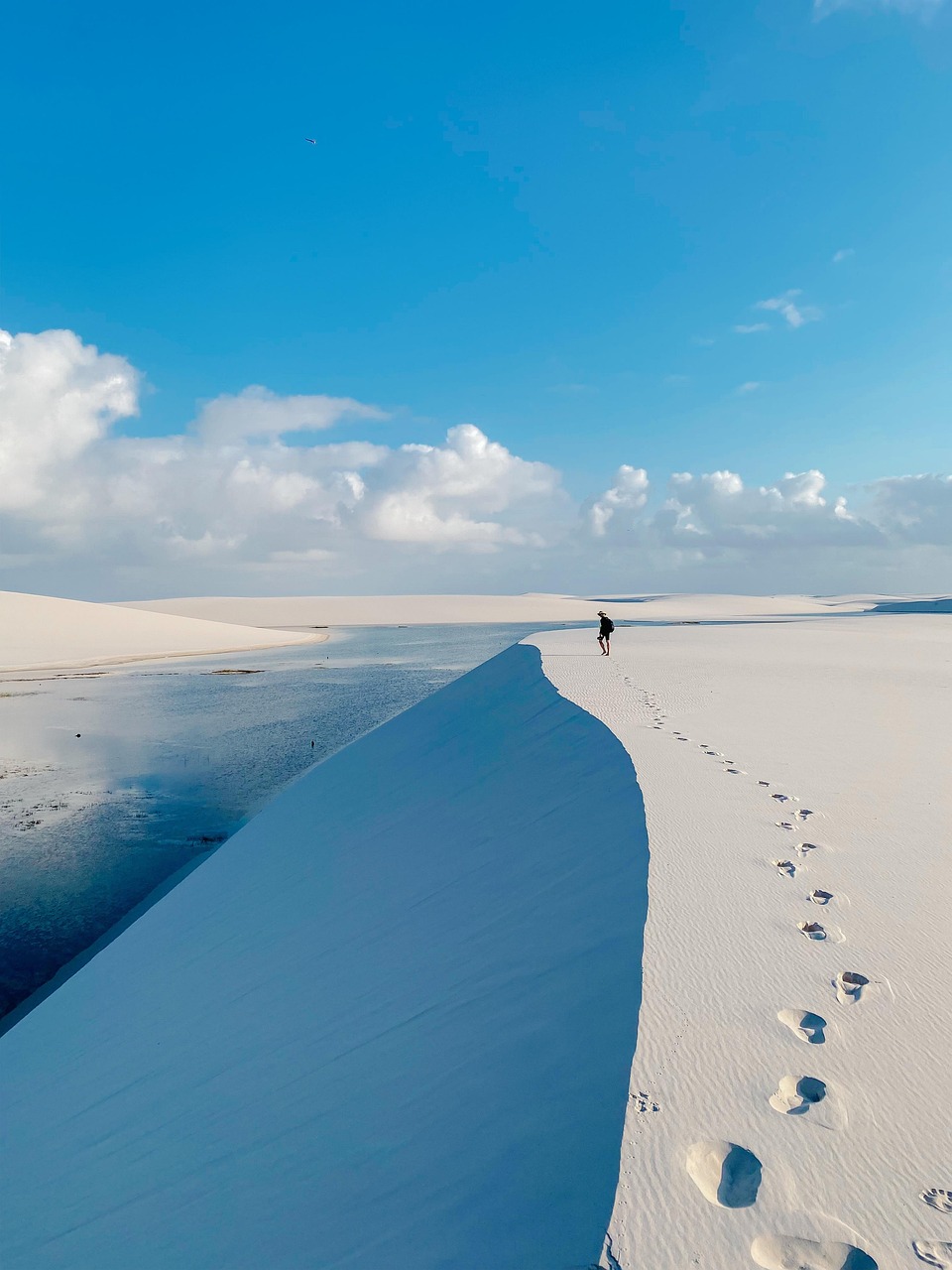 maranhao-sheets-9000410_1280.jpg