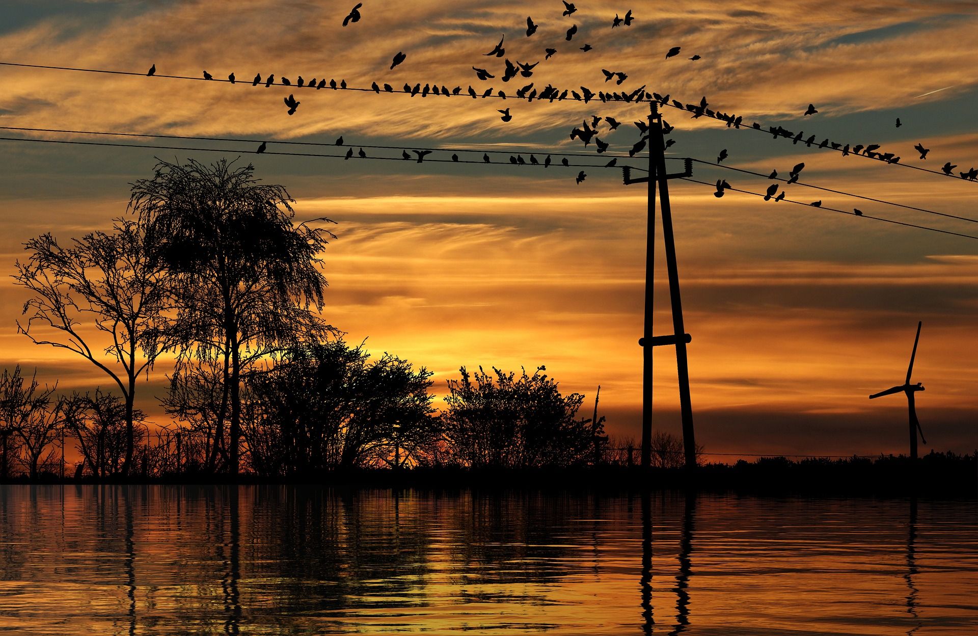 sunset-g177cc1374_1920.jpg