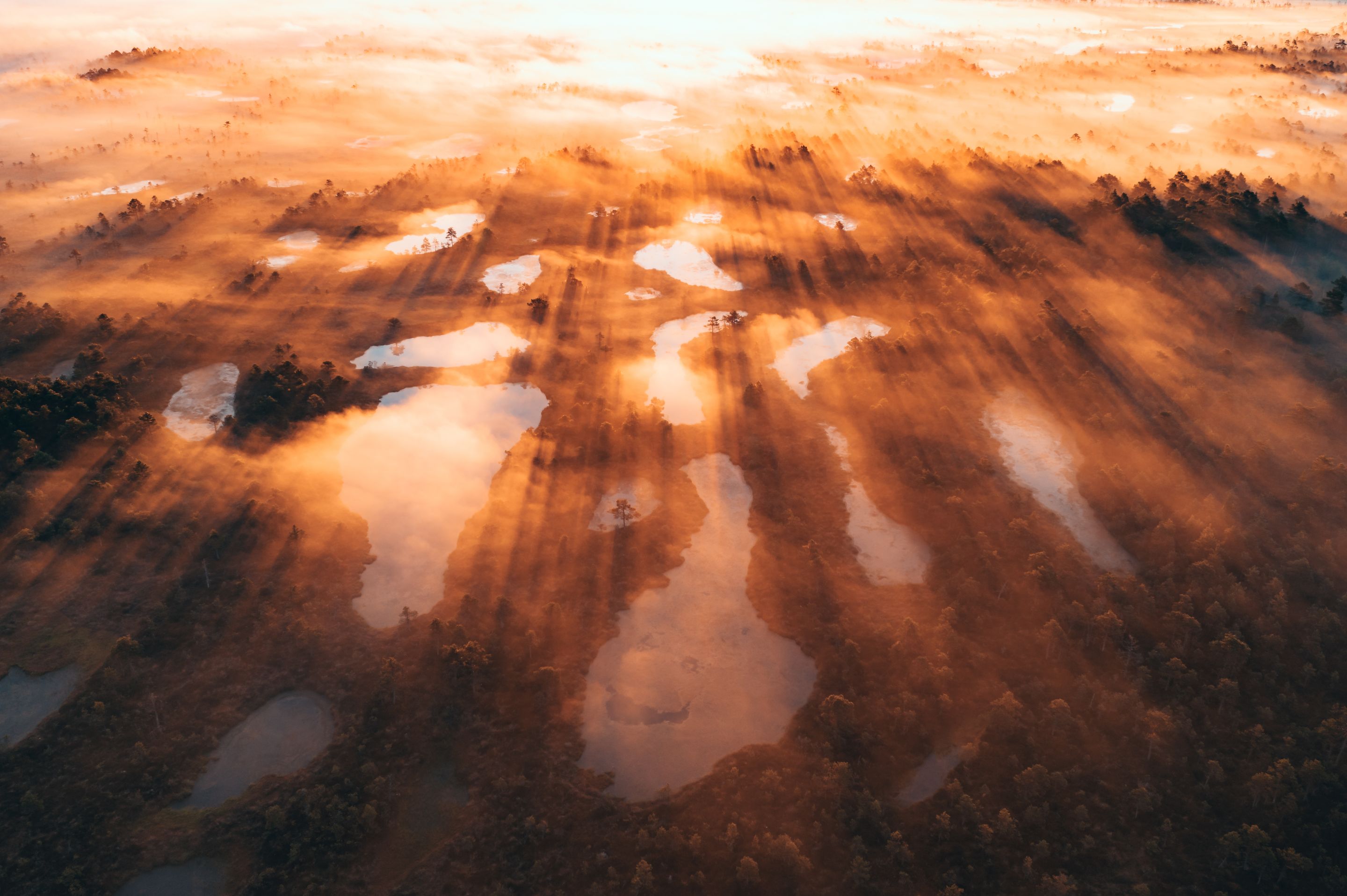 DJI_0172-HDR-1.jpg