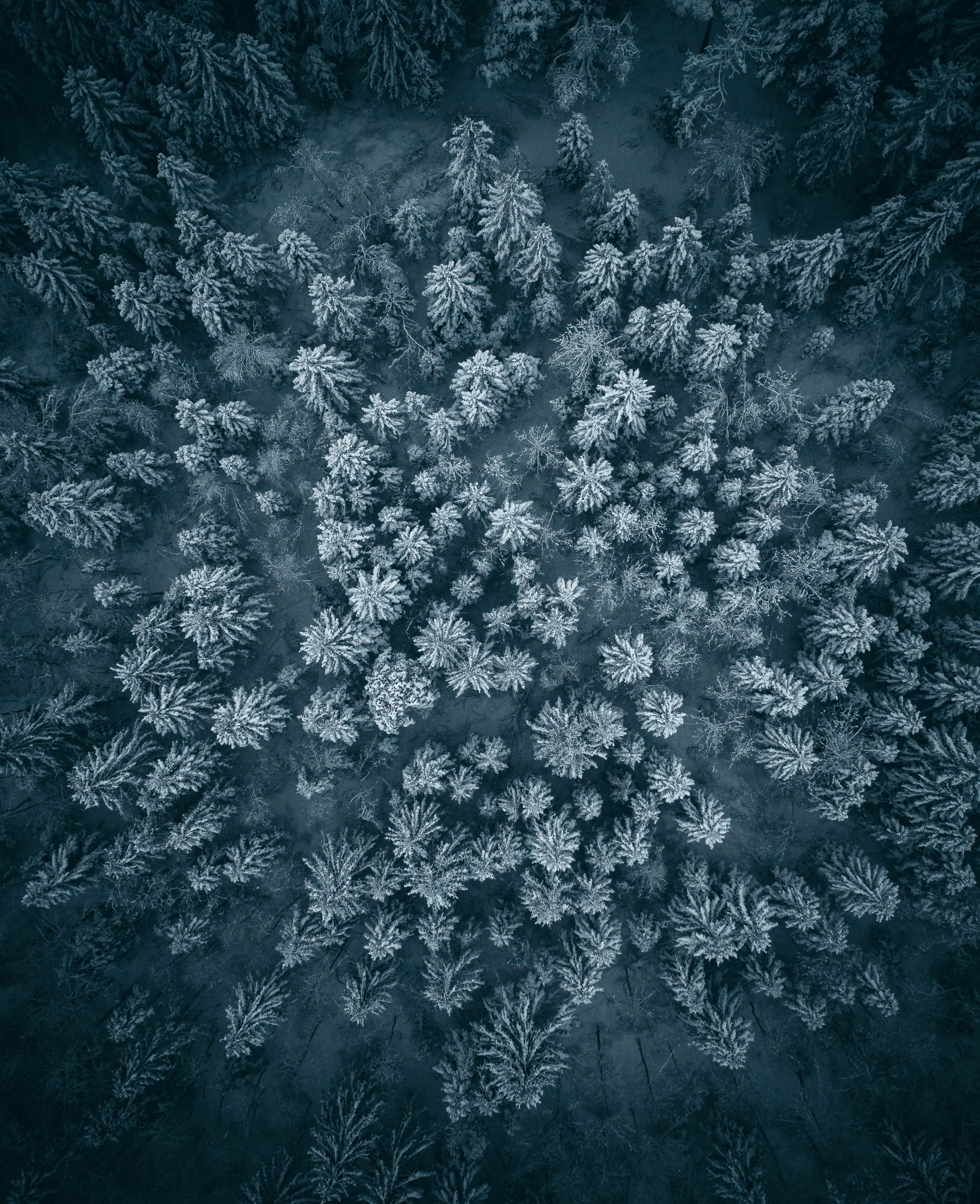 DJI_0418-1-2.JPG