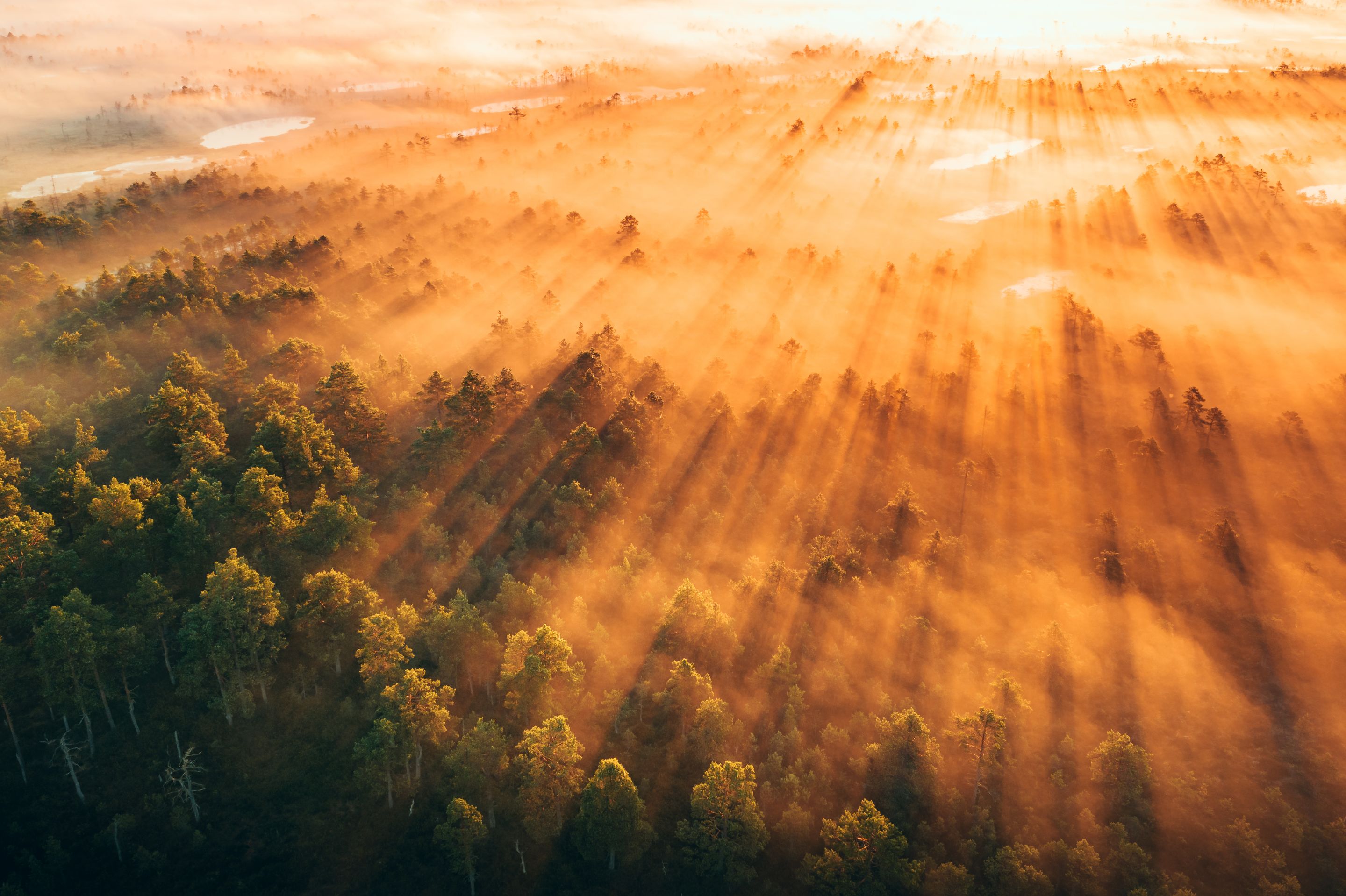 DJI_0192-HDR-1.jpg