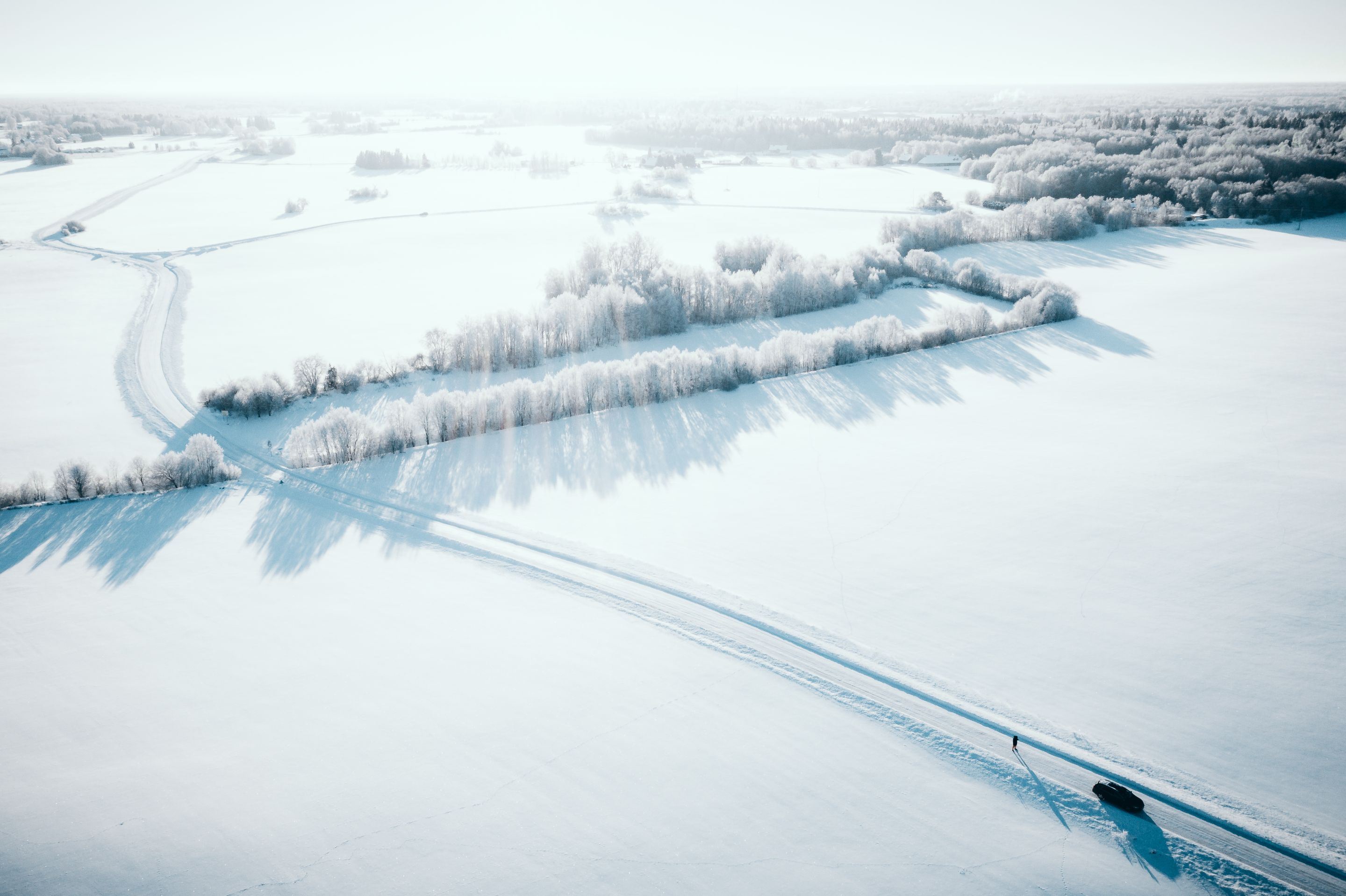 DJI_0270-3.JPG