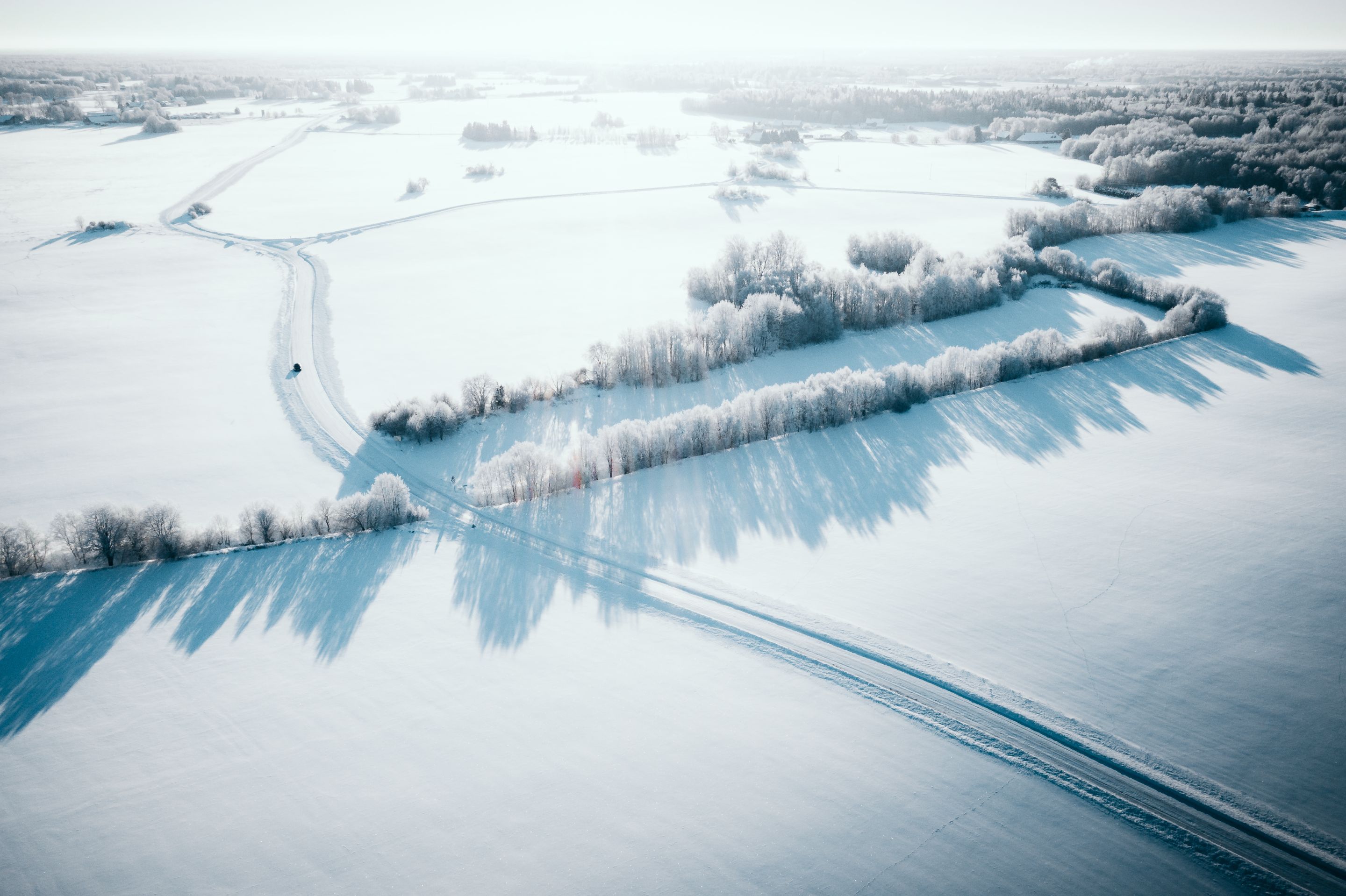 DJI_0265-2.JPG