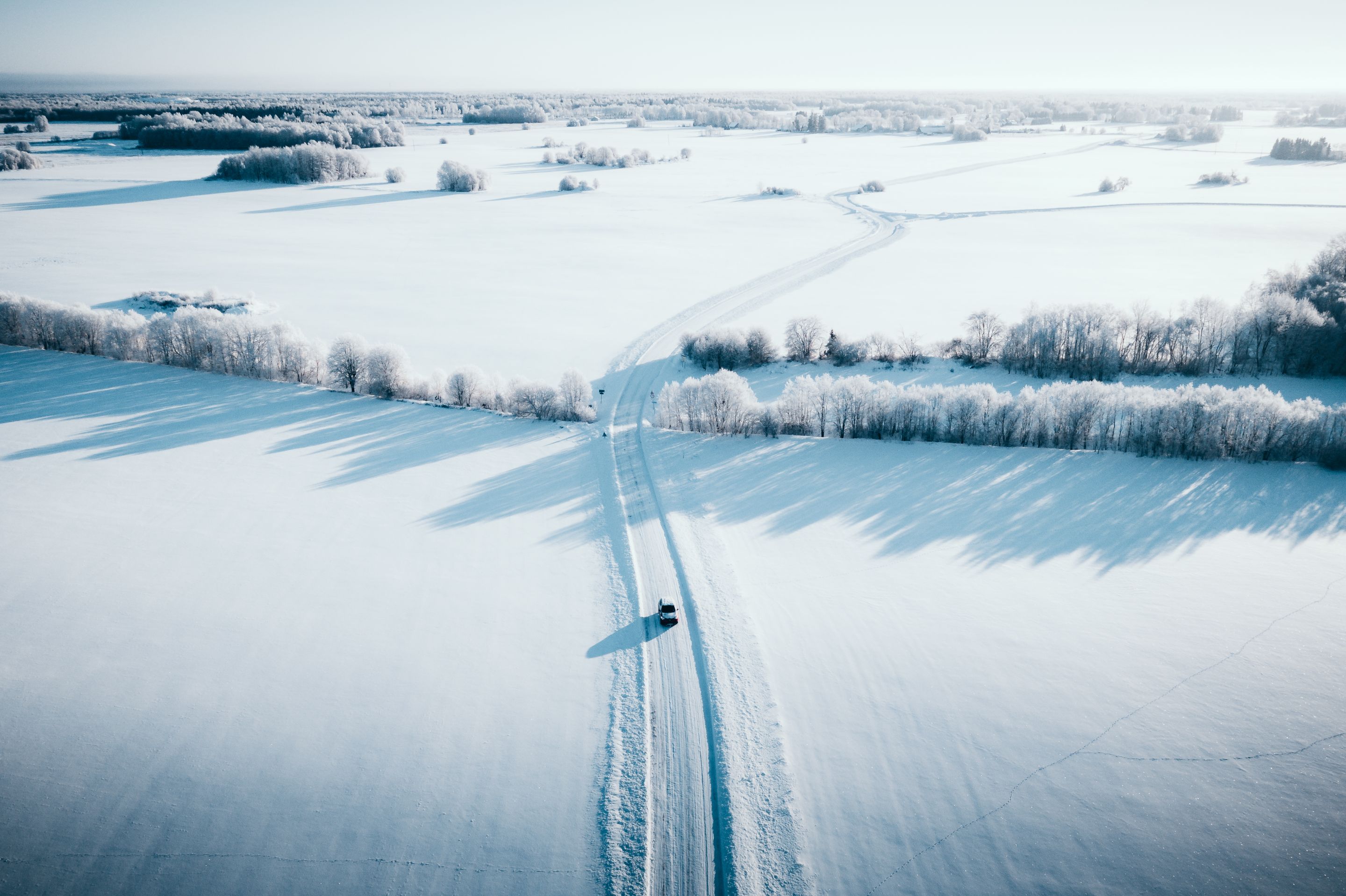 DJI_0272-1-2.JPG
