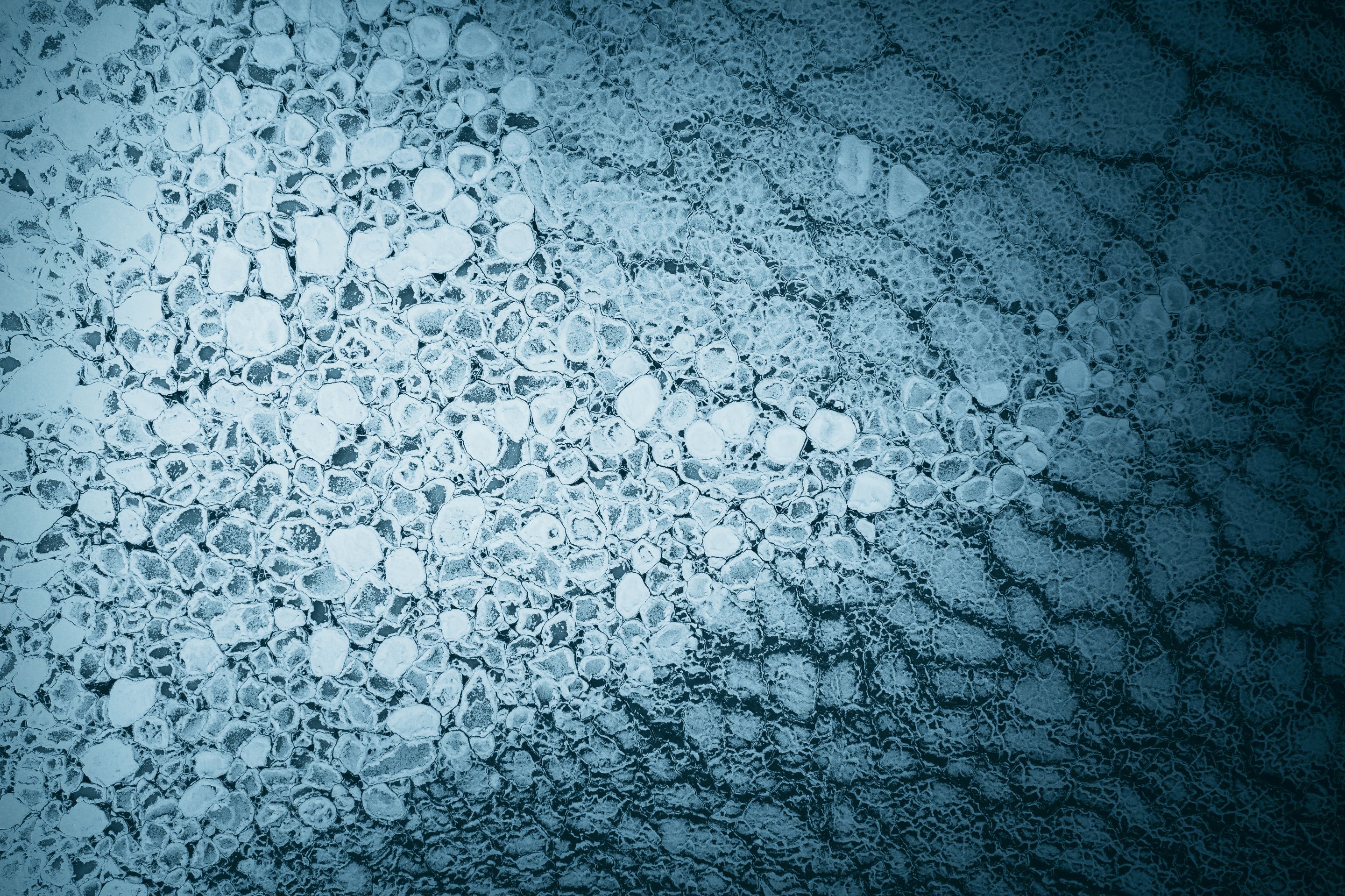 DJI_0784.JPG