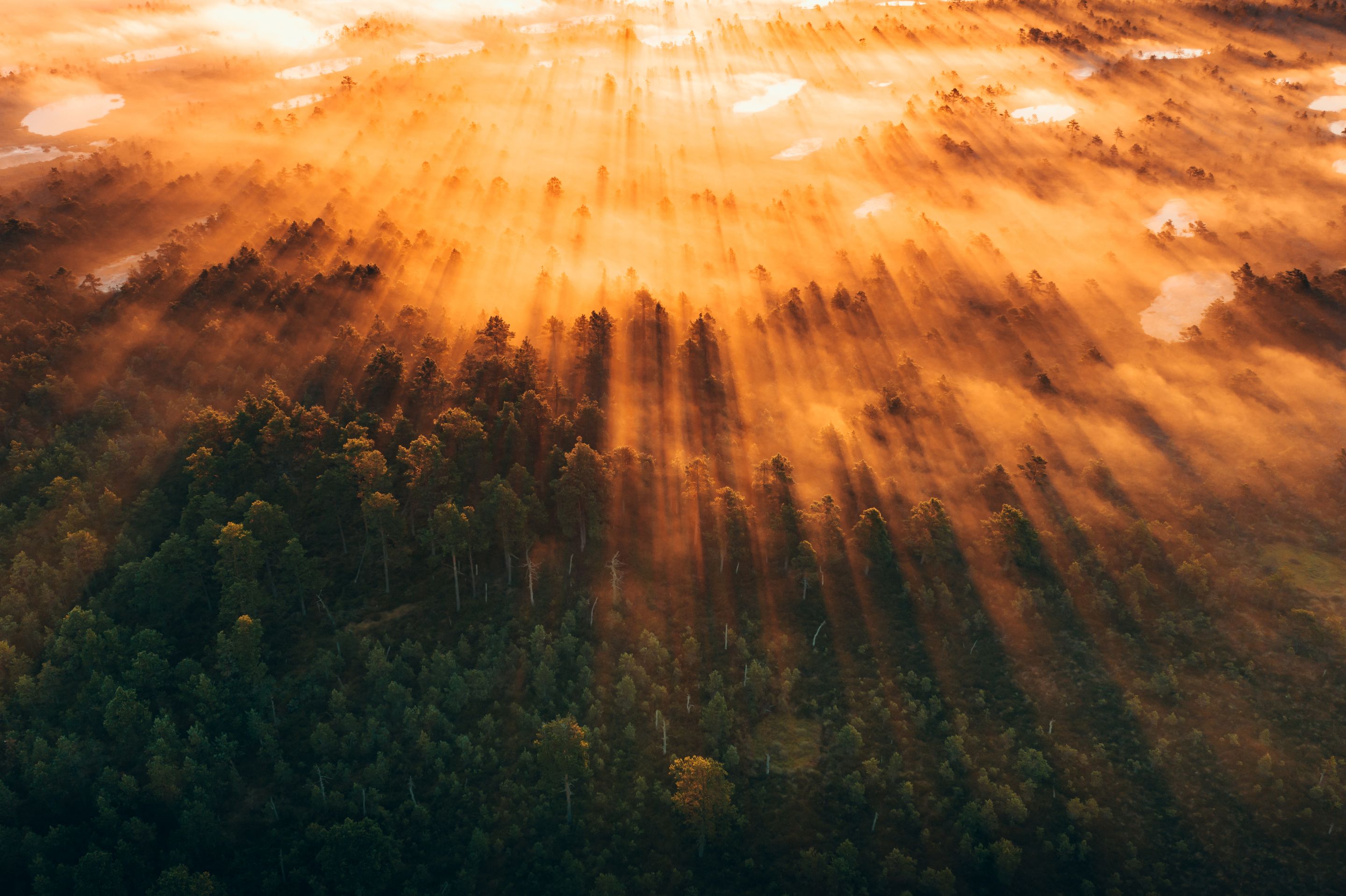 DJI_0183-HDR-1.jpg