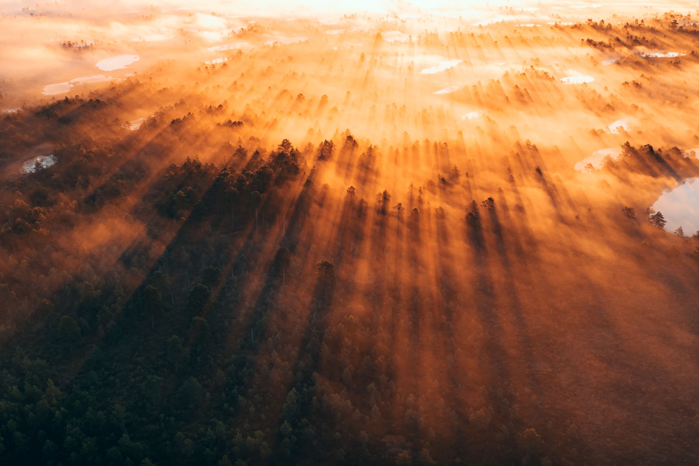 DJI_0177-HDR-1.jpg