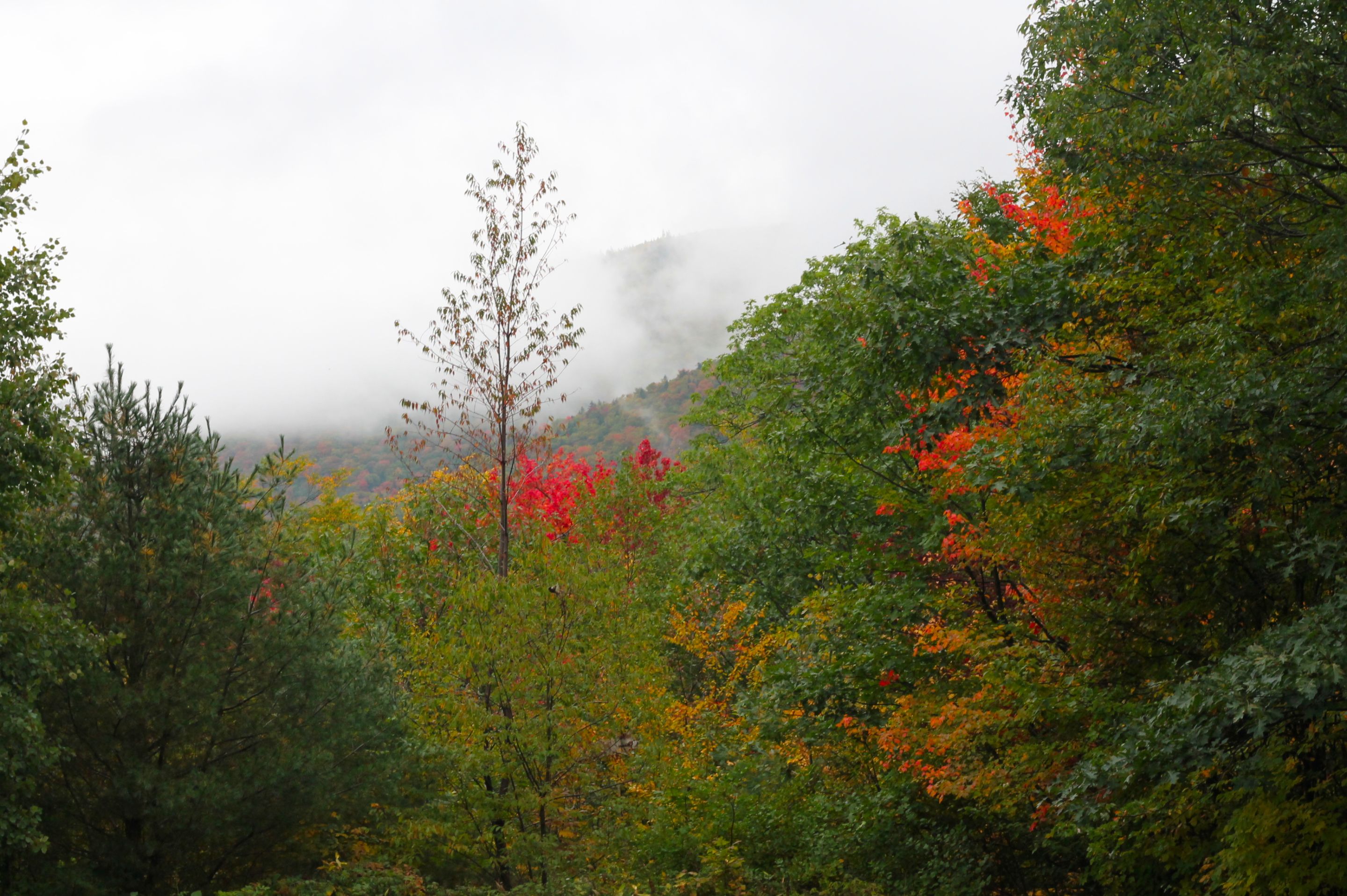 IMG_6835.JPG