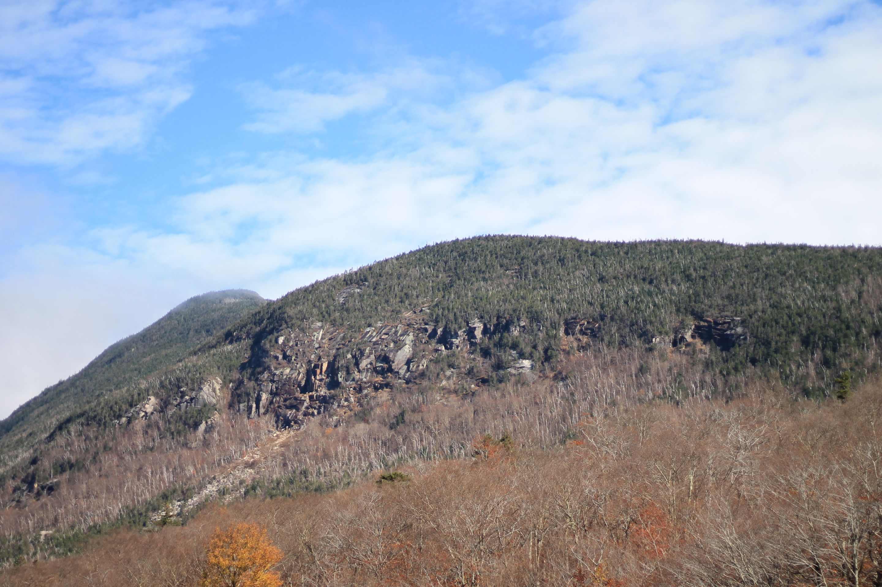 IMG_7409.JPG