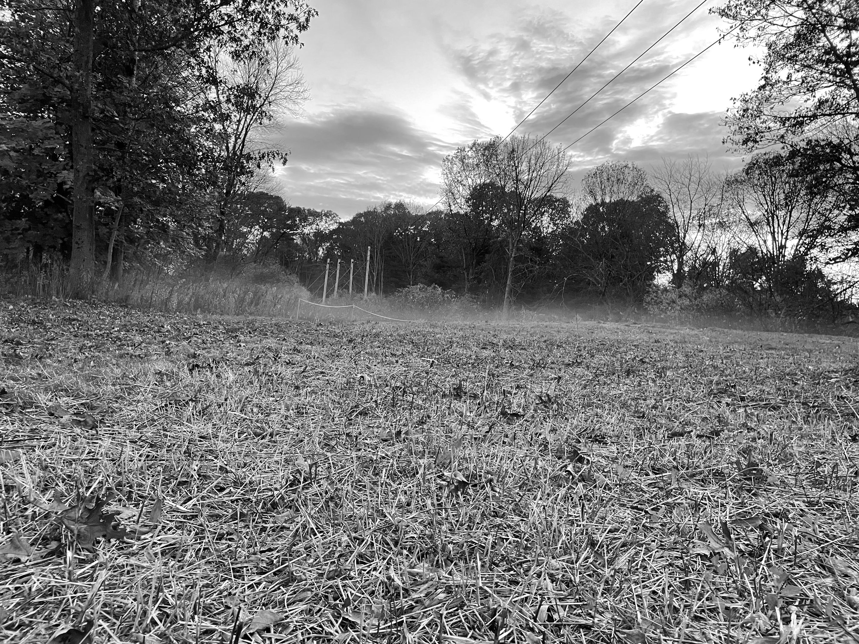 IMG_0574 edit.jpeg