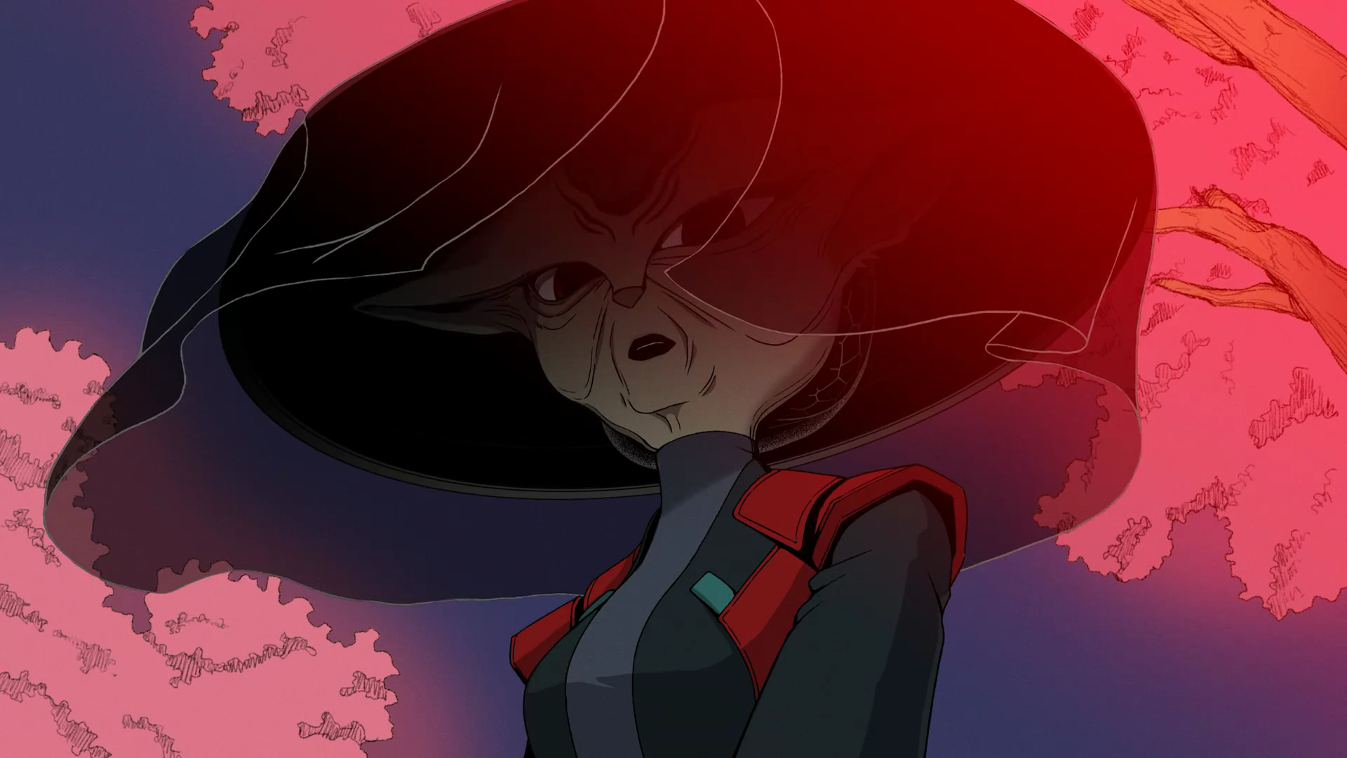 imagen.png