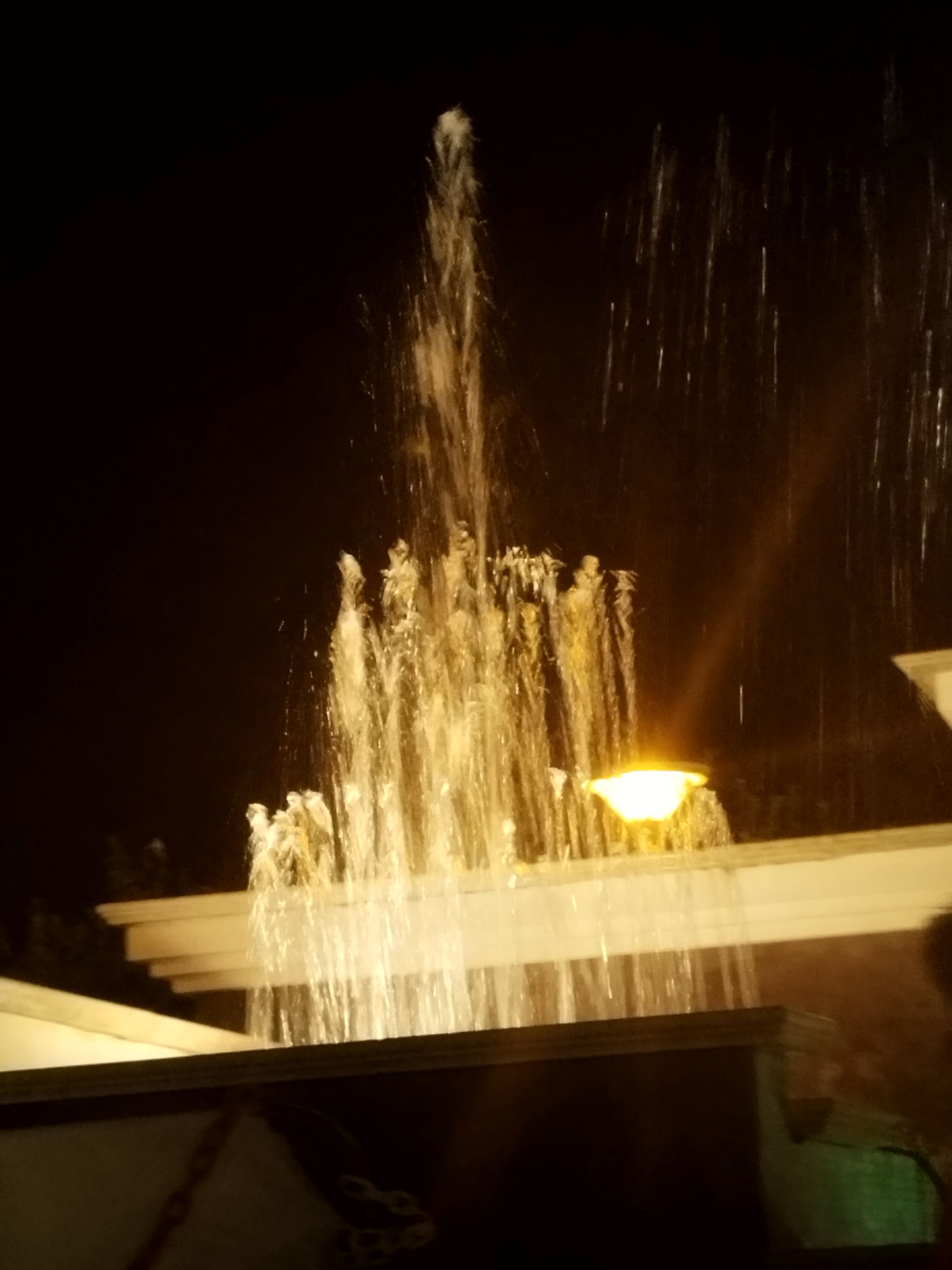 IMG_20250729_215411.jpg
