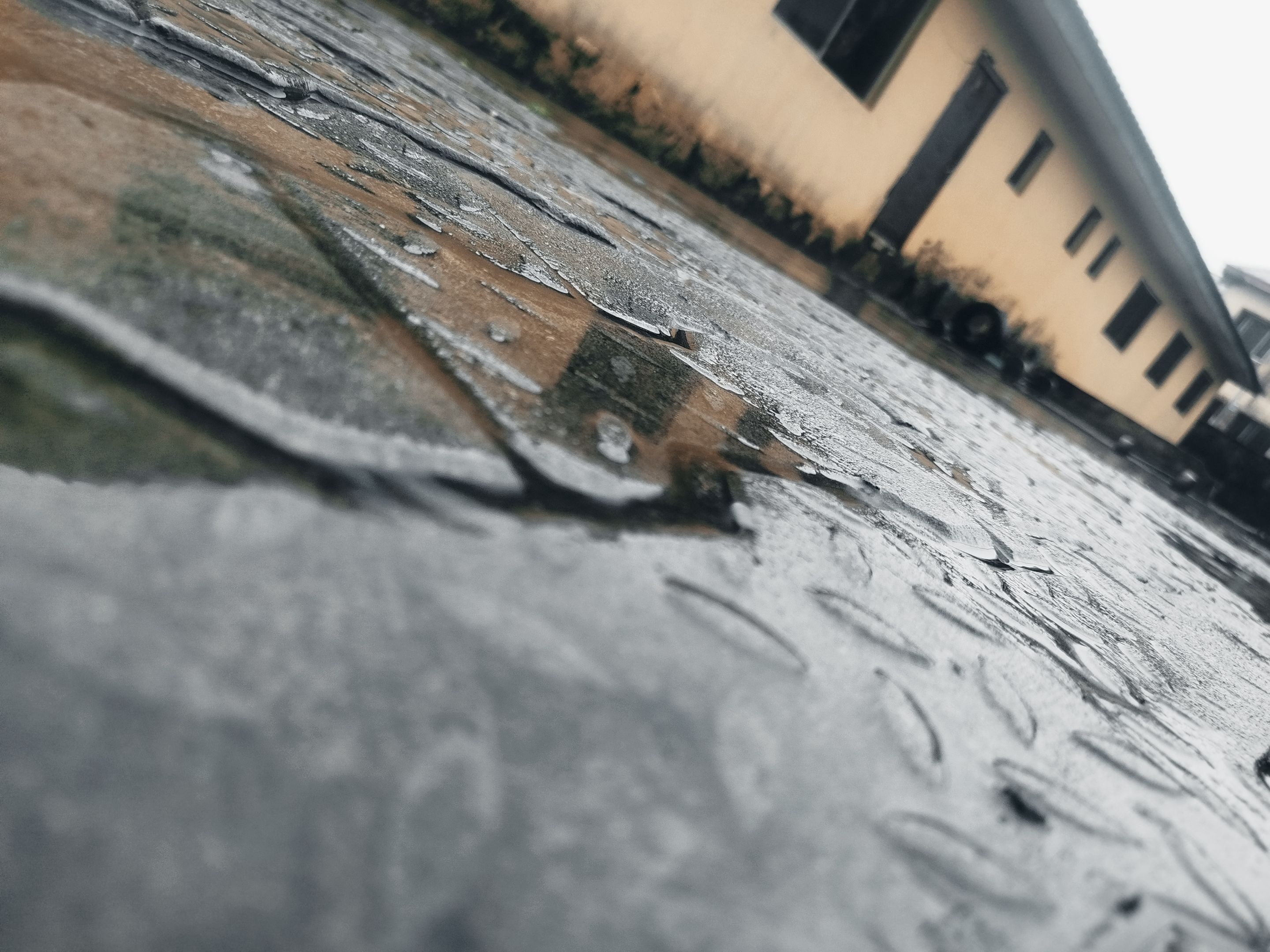 1002293224.jpg