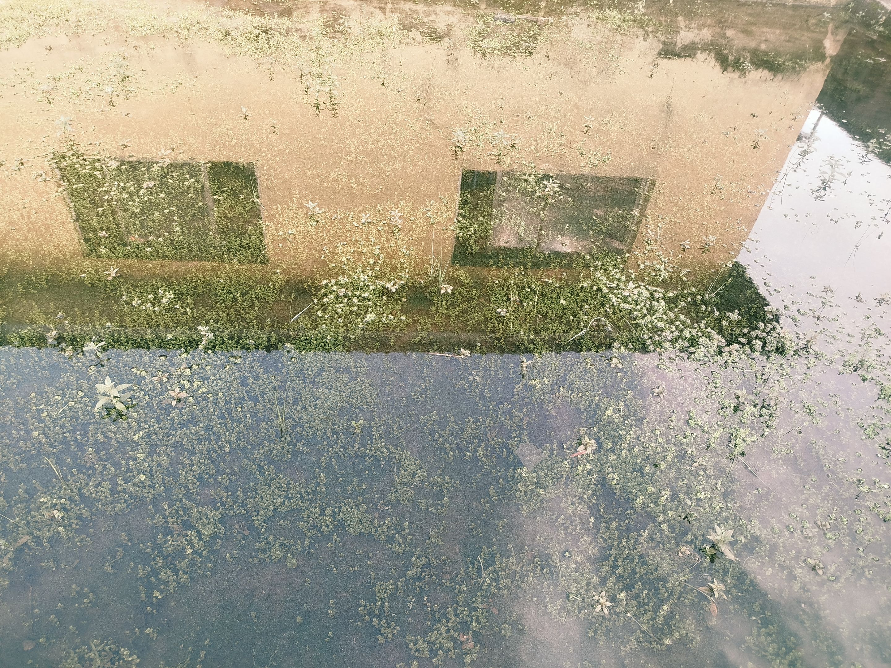 1002252723.jpg