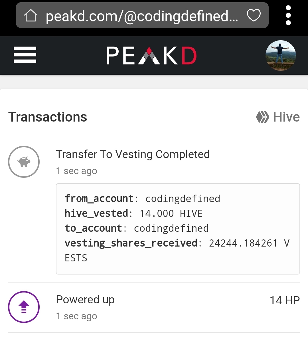 Screenshot_20240401_204601_Hive Keychain.jpg