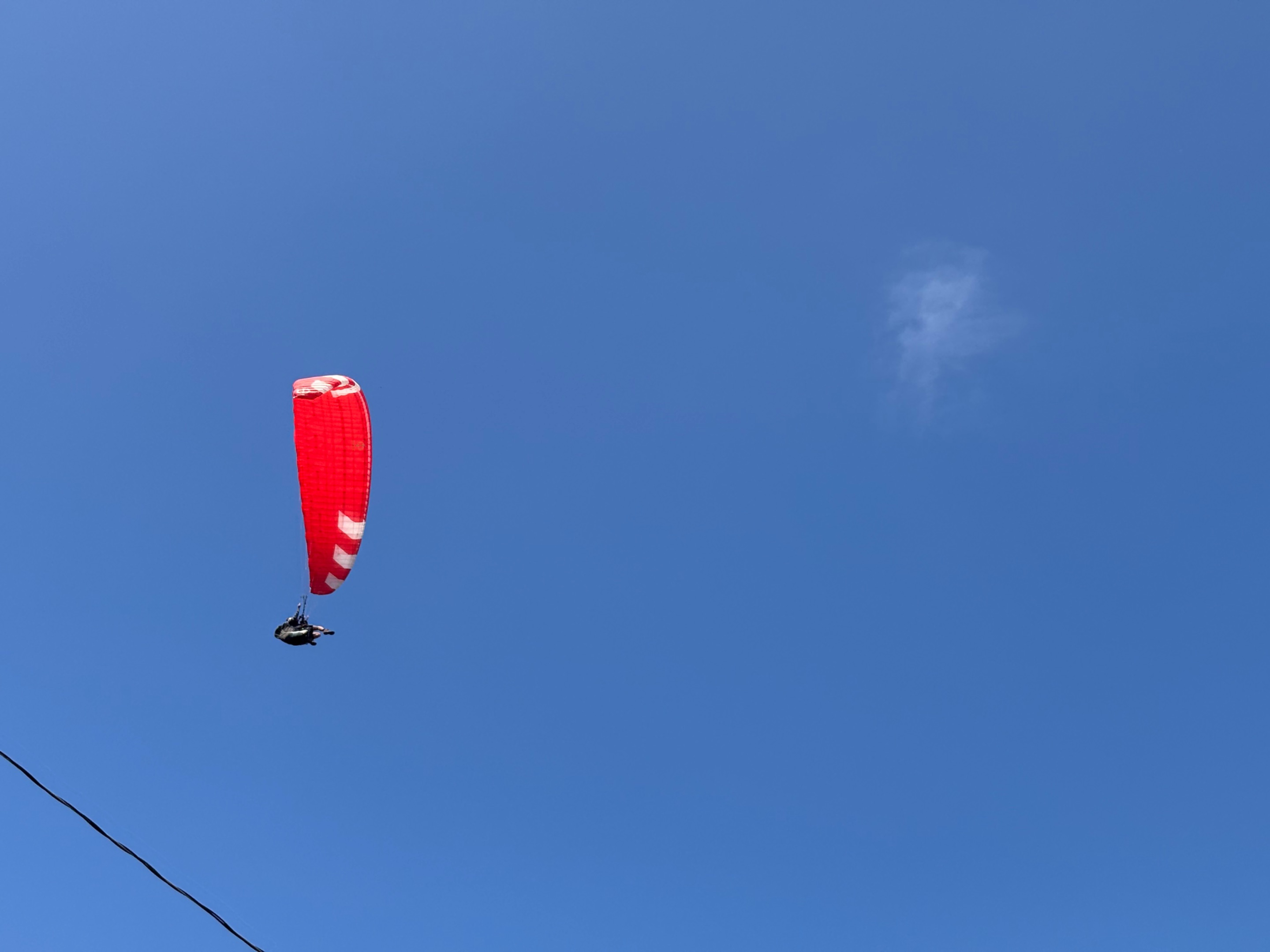 IMG_0837.jpeg