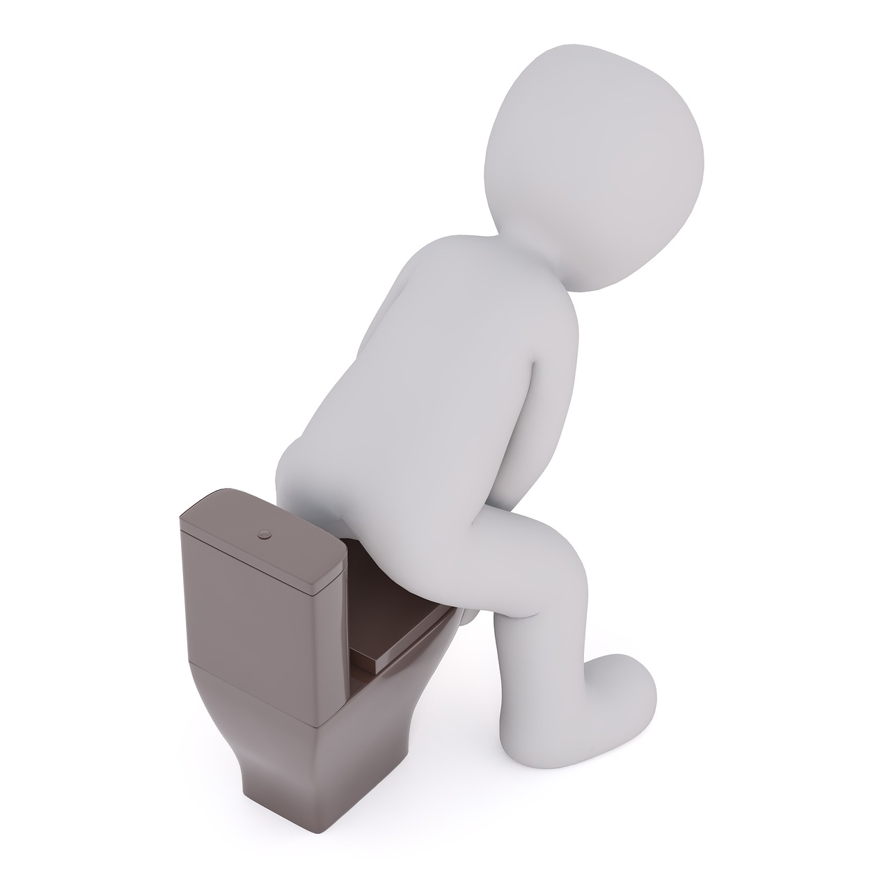 toilet-5111311_1280.jpg