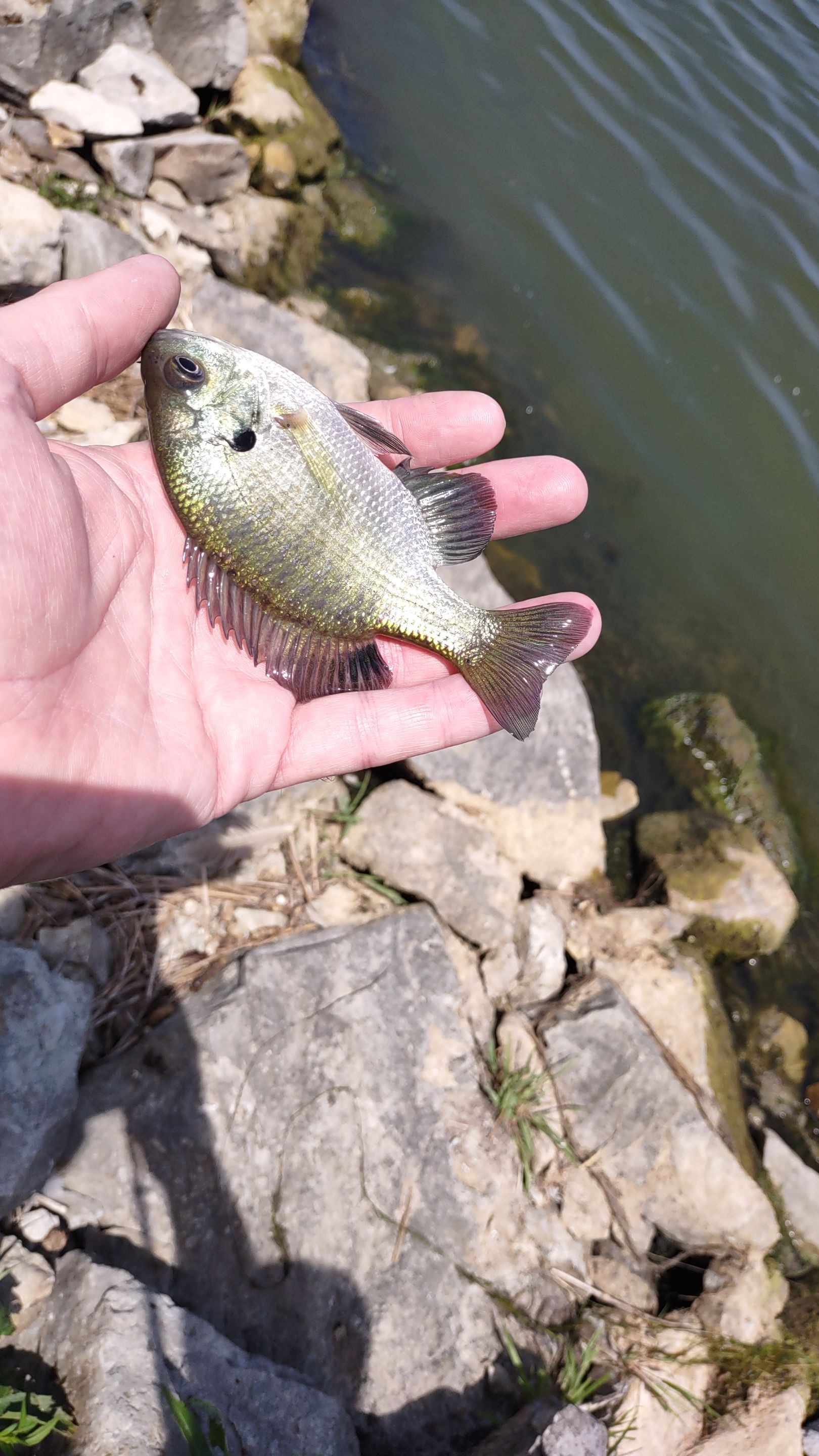 IMG_20230730_133737832.jpg