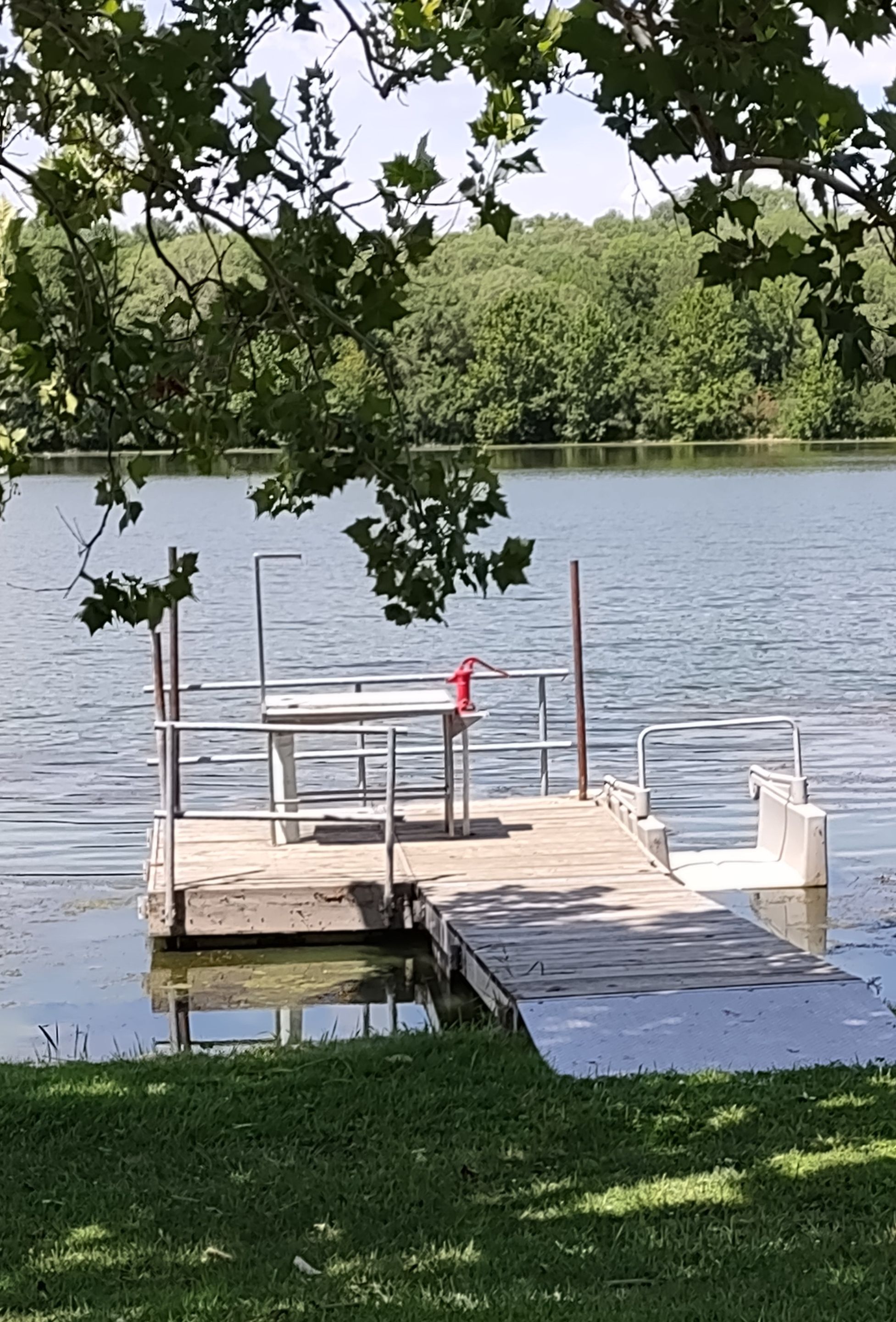 IMG_20230730_141614185.jpg