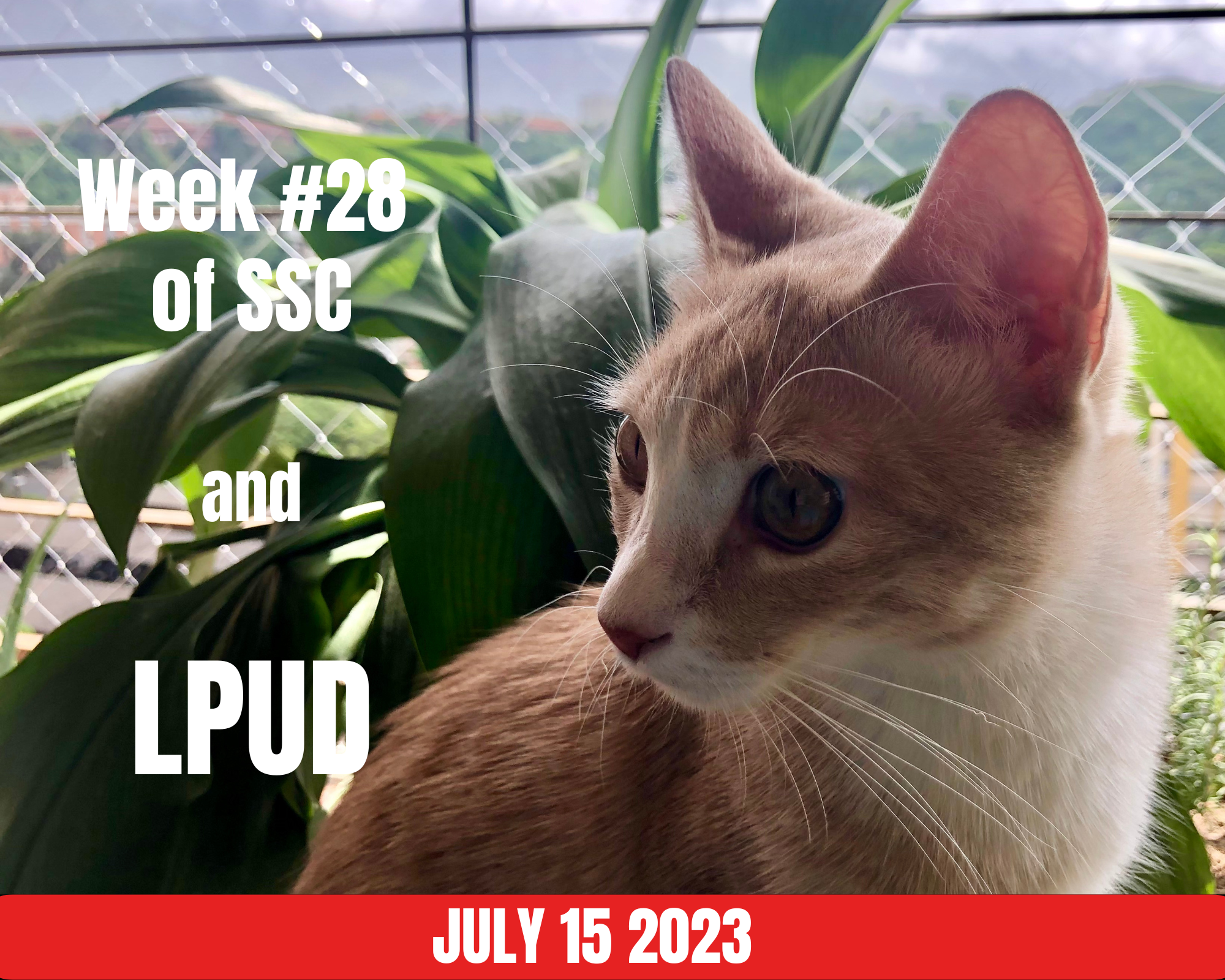 LPUD_July2023.png