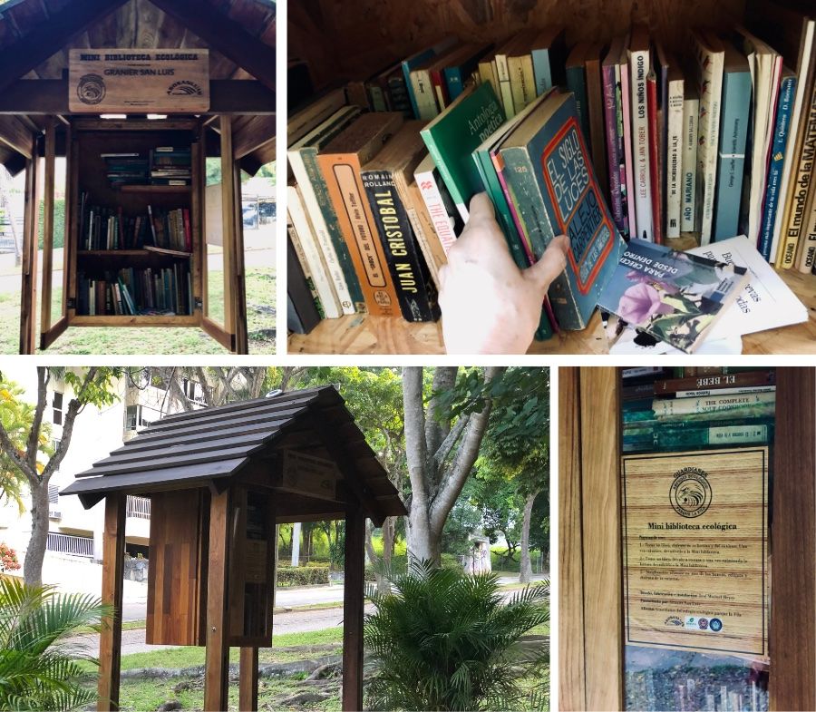 SanLuis_Biblioteca Eco4.jpg