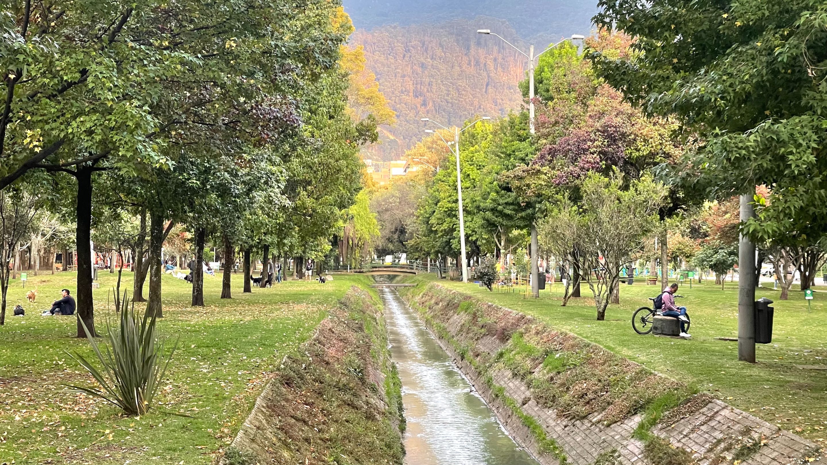 ElVirrey170825_4.jpg