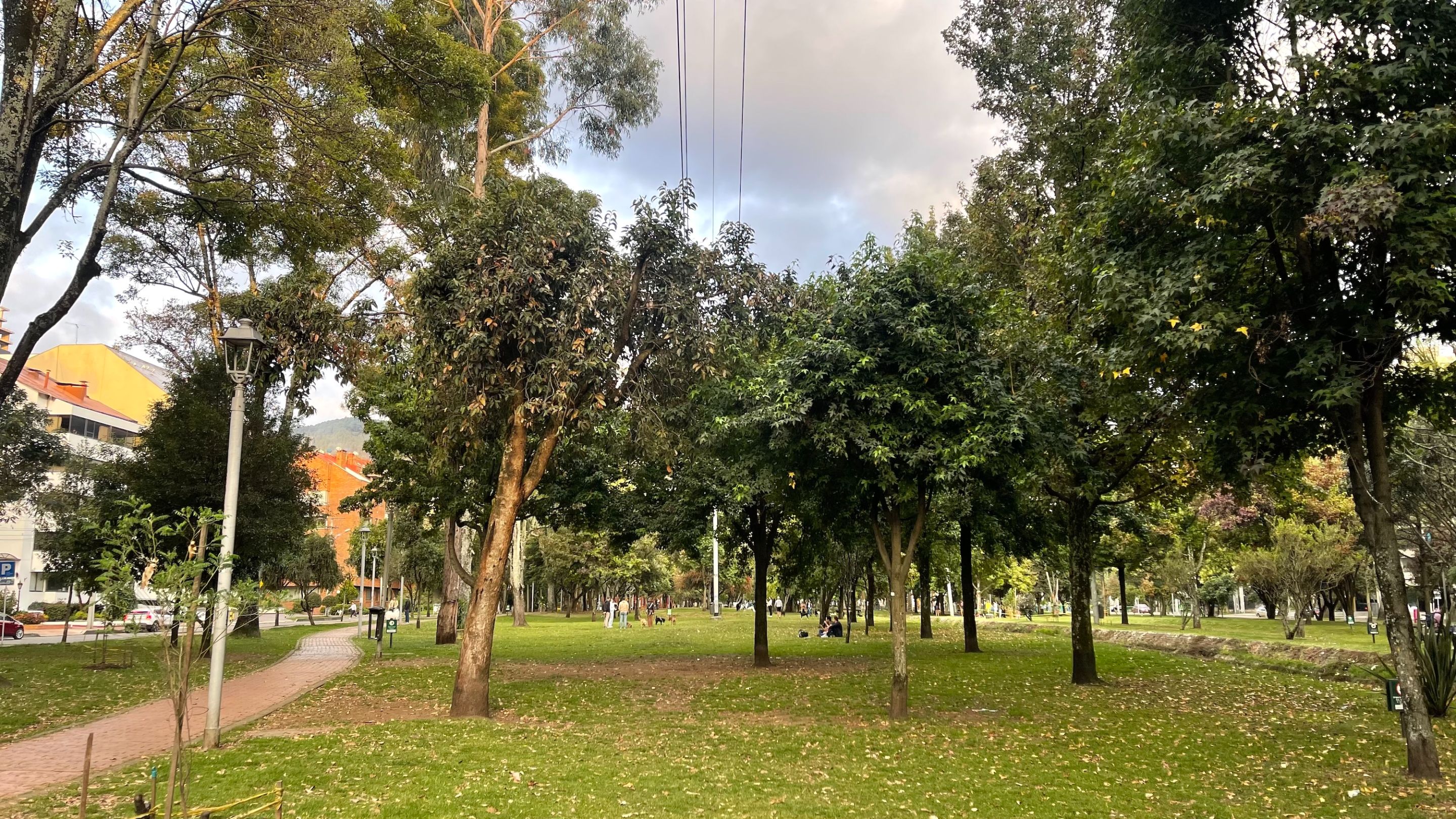 ElVirrey170825_5.jpg