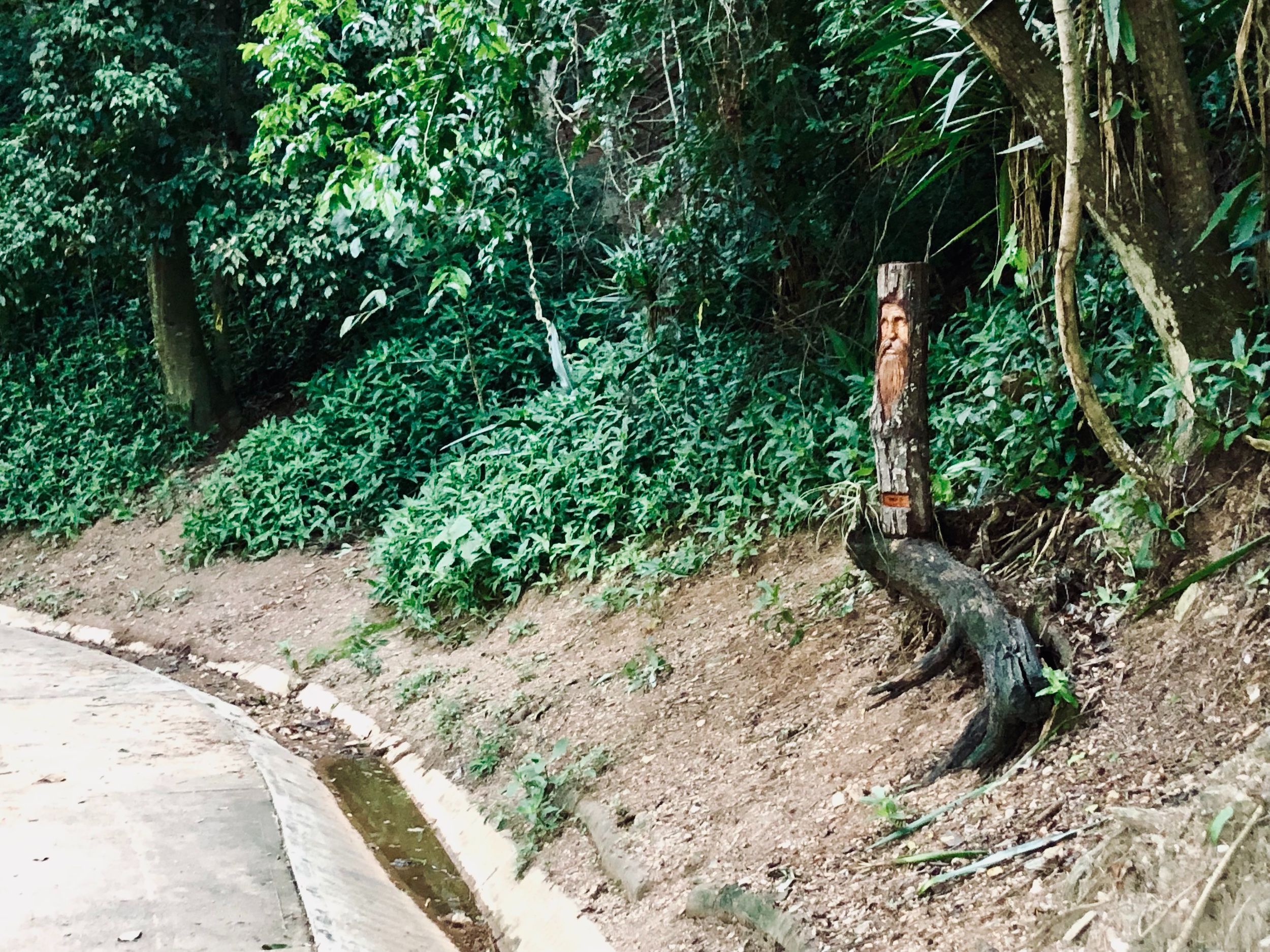 SanLuis_Woodcarving.jpg