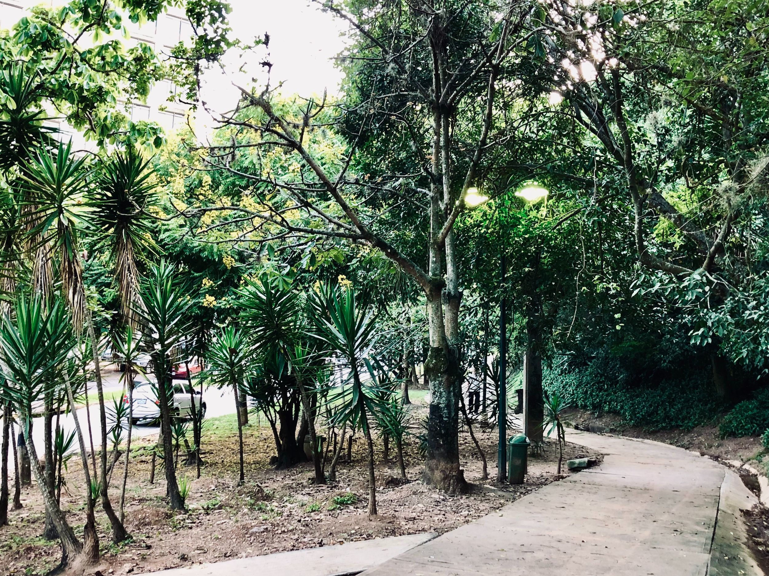 SanLuis_WalkingPath.jpg