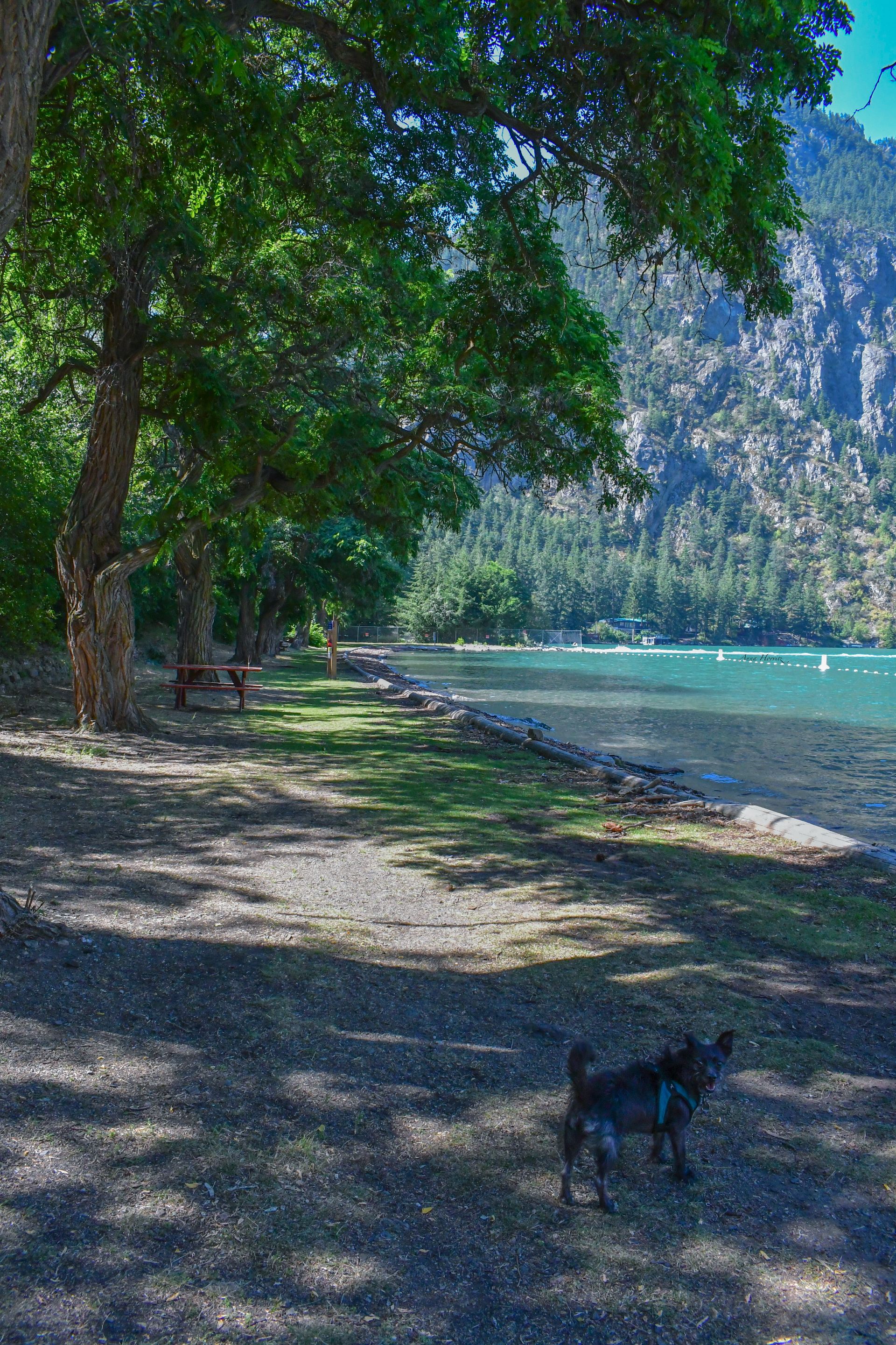 DSC_2227.JPG