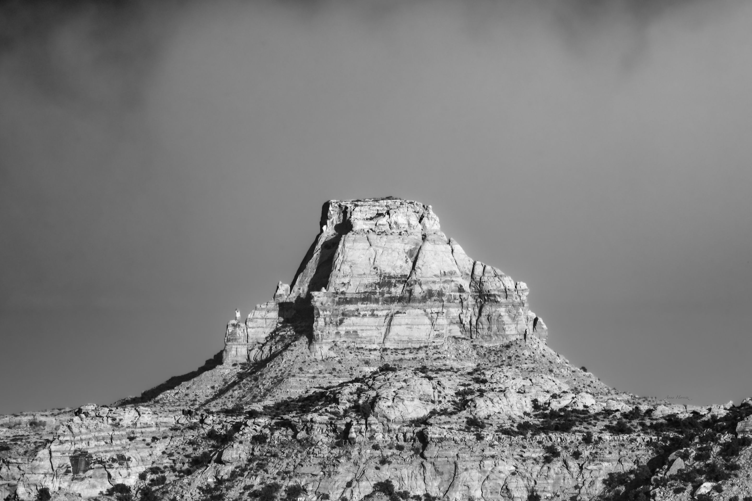 DSC_0316.JPG