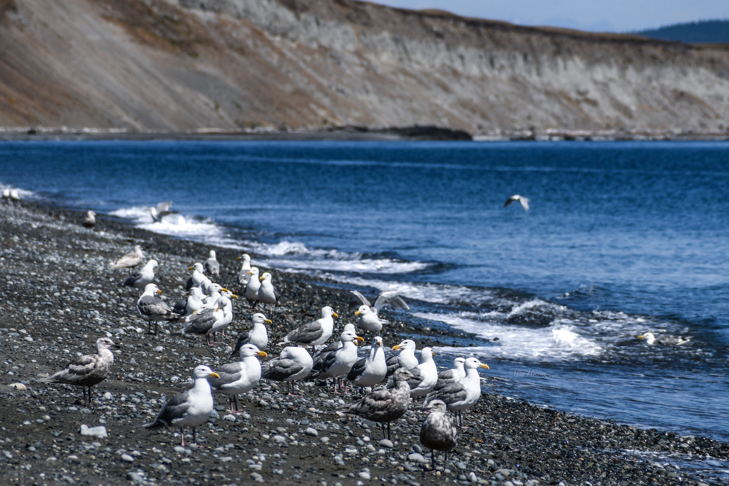 DSC_0849.JPG
