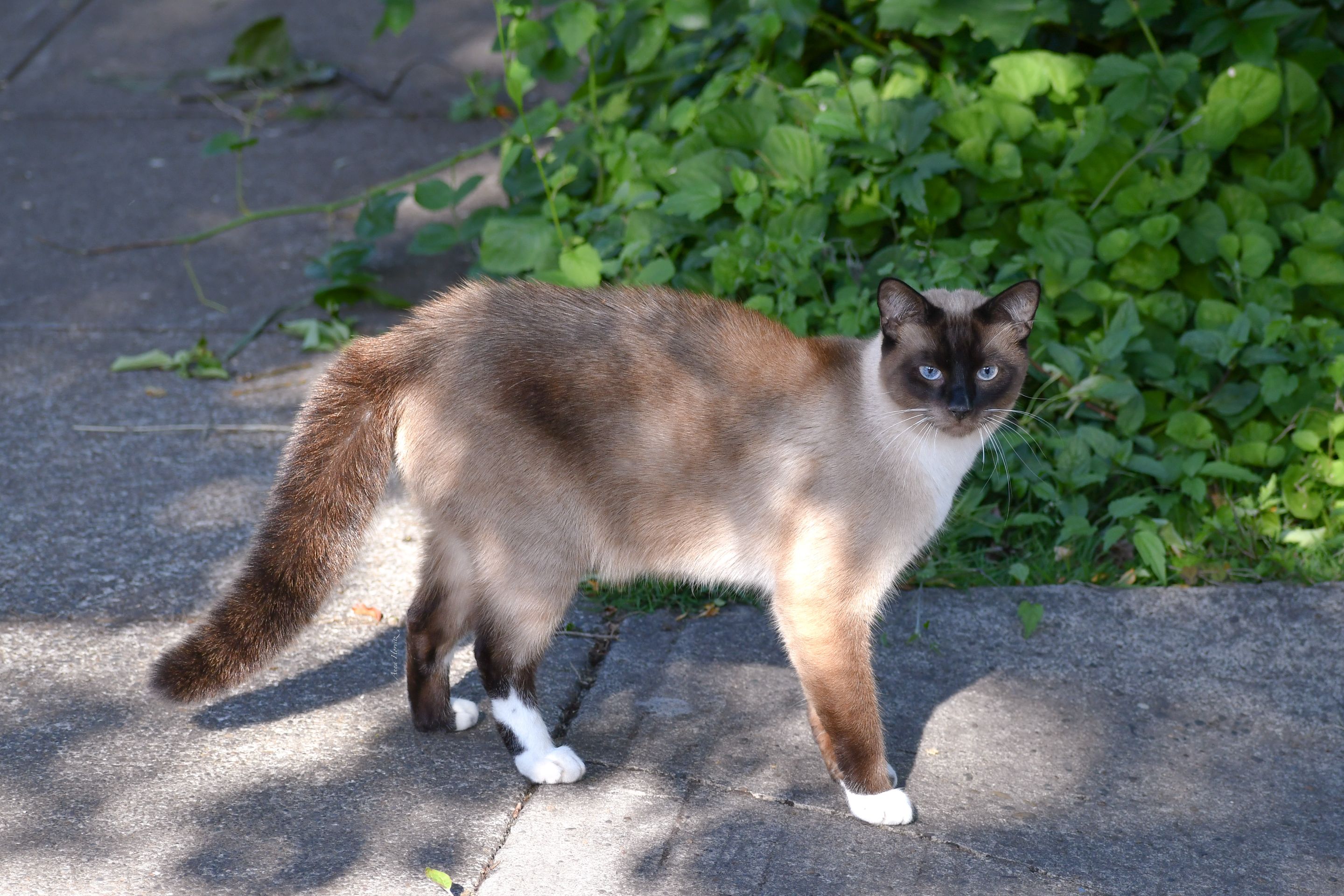 DSC_2292.JPG