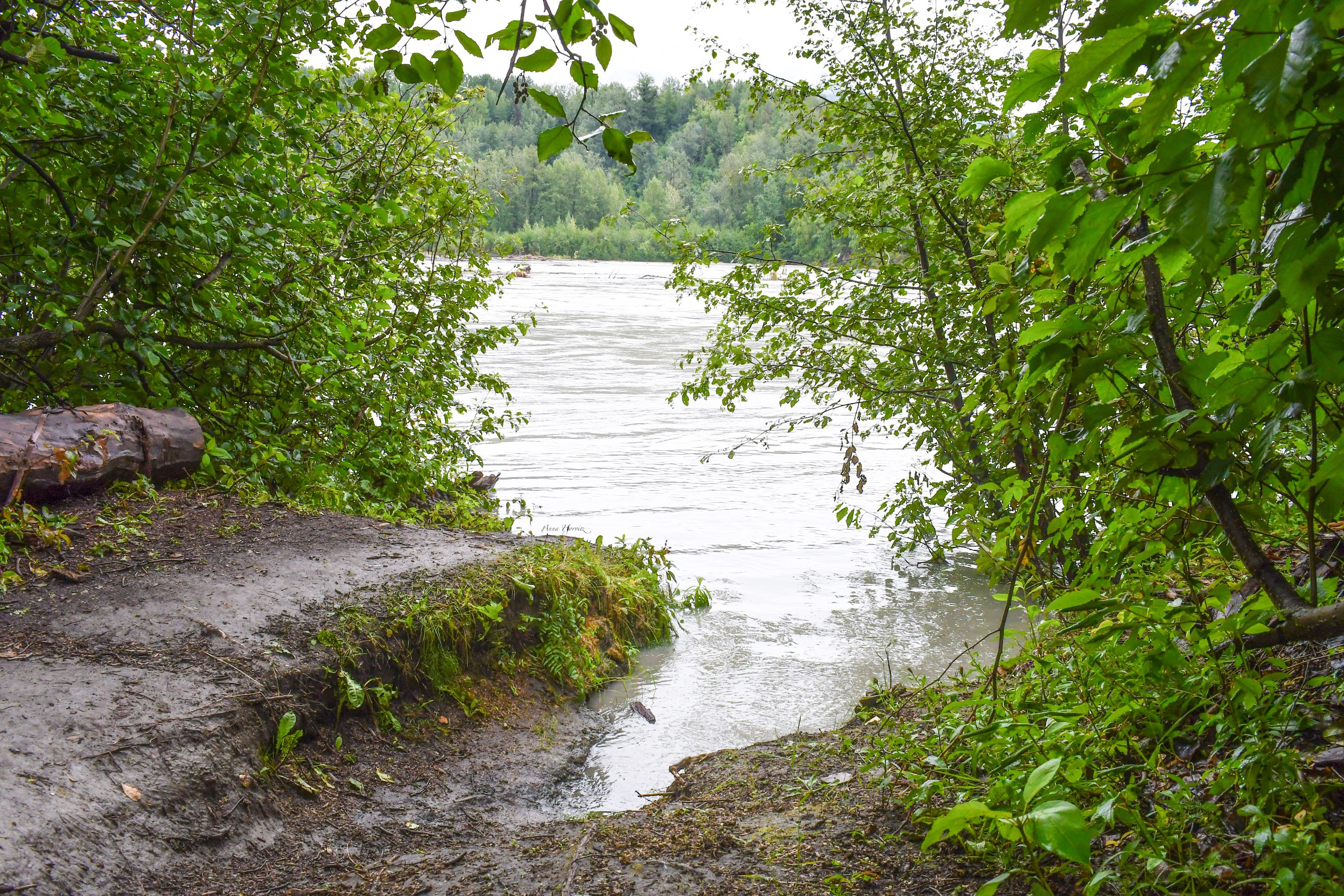 DSC_3979.JPG