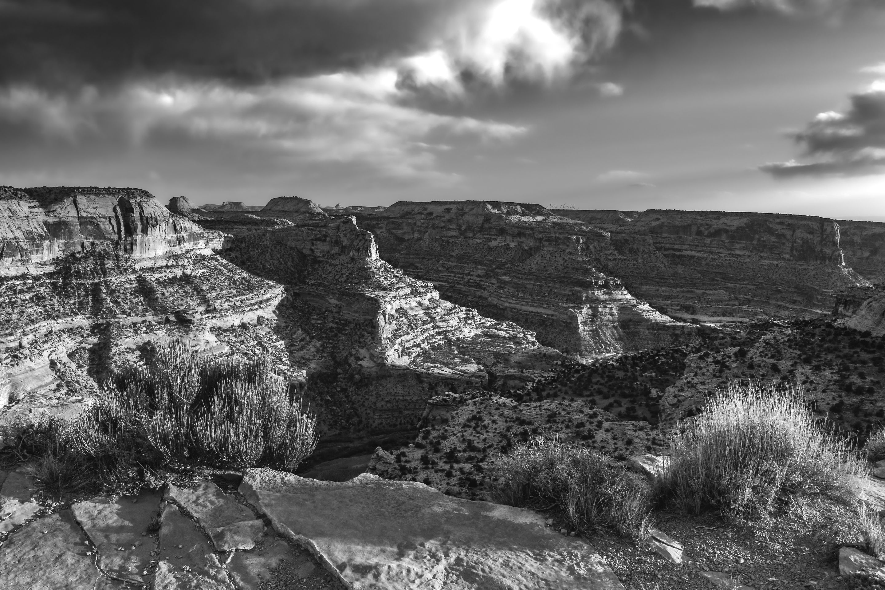 DSC_0304.JPG