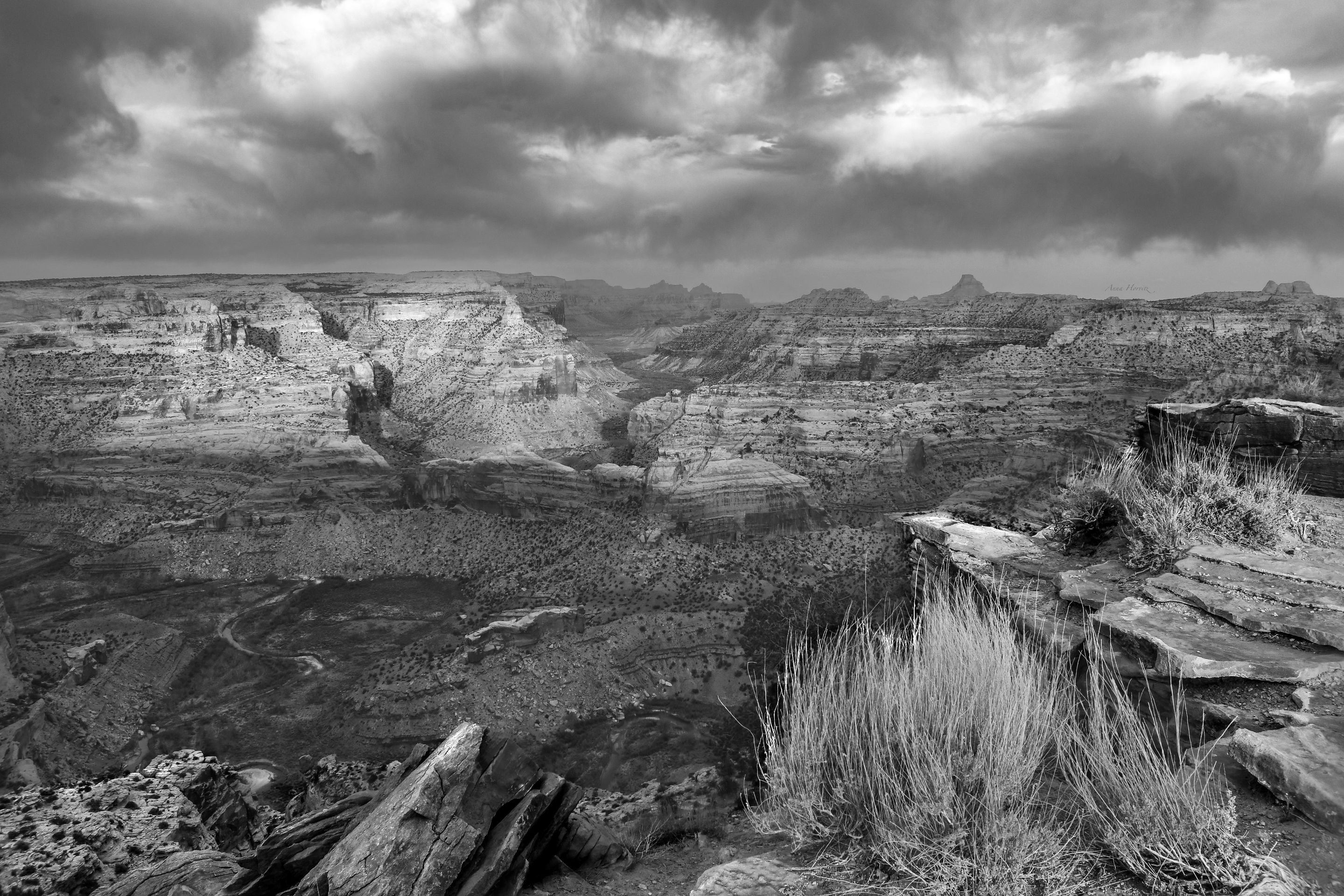 DSC_0291.JPG