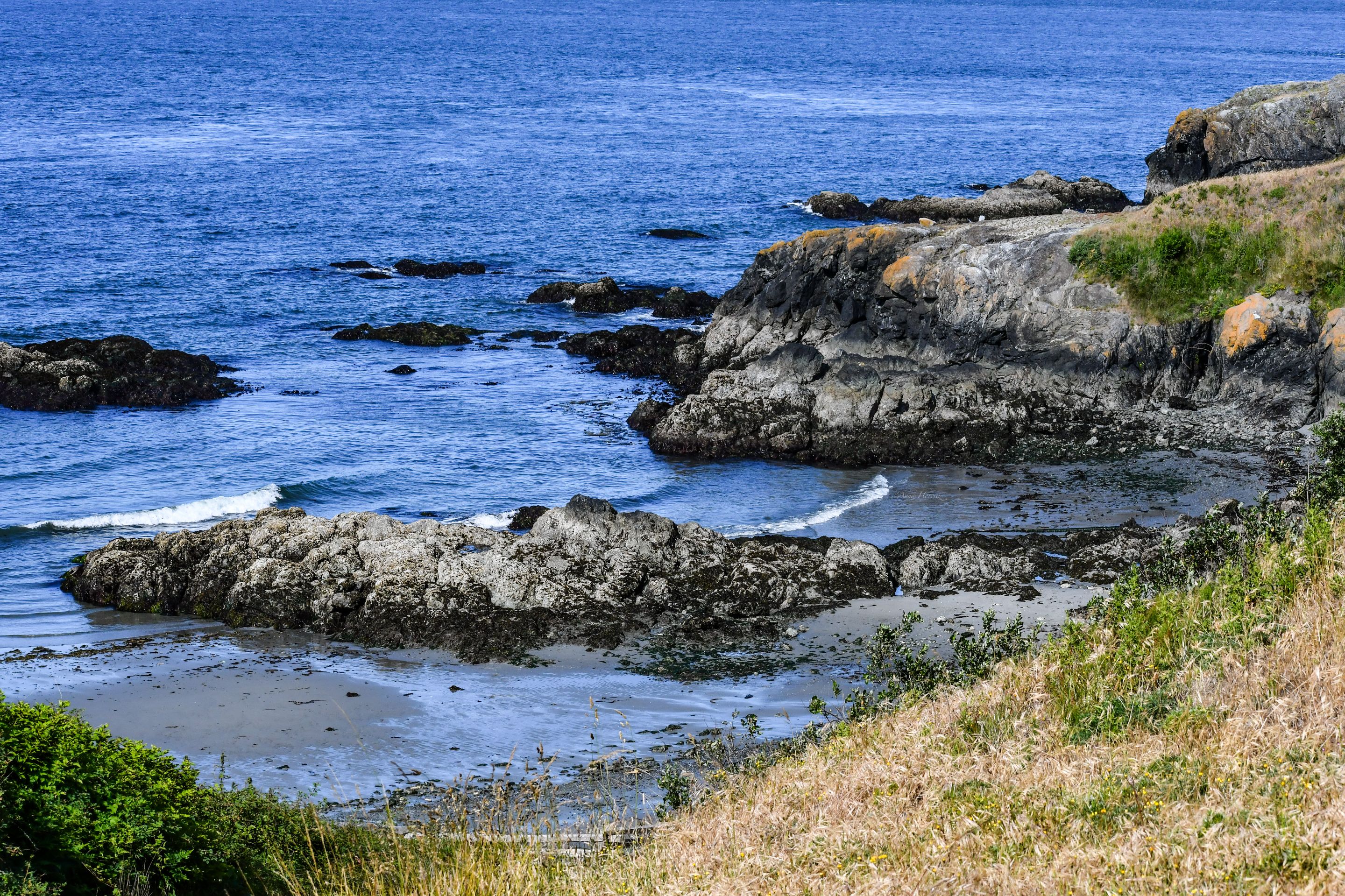 DSC_8637.JPG