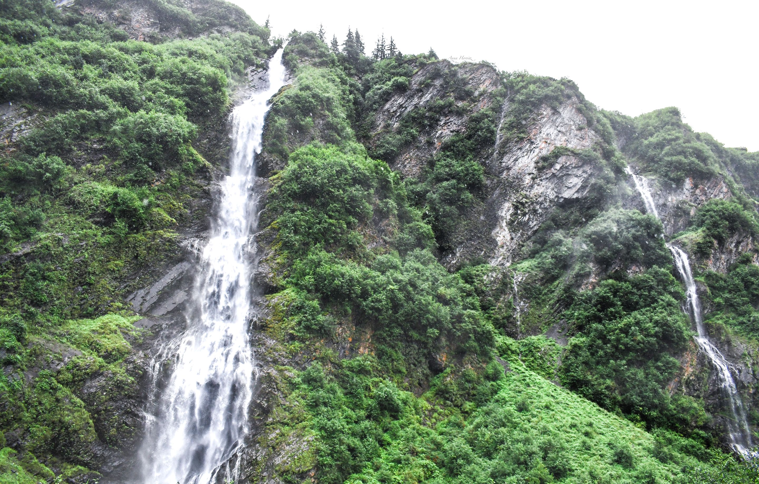DSC_3858.JPG