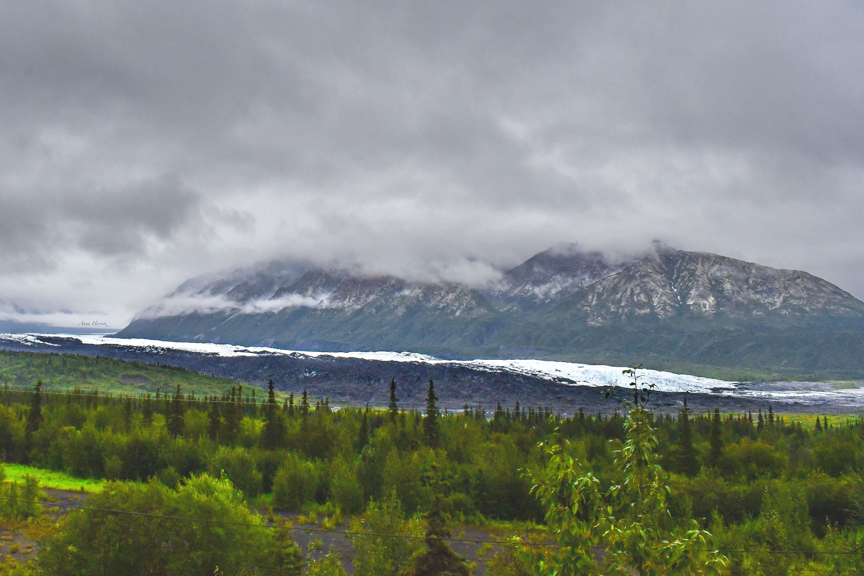 DSC_3954.JPG